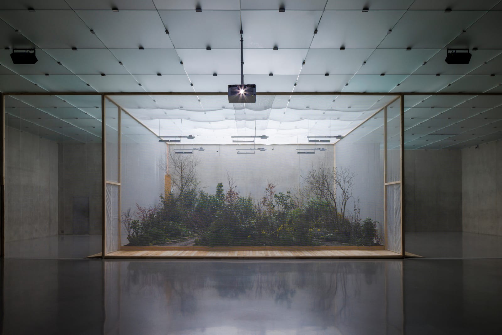 Precious Okoyomon, the world requires something of me and I’m looking for a place to lie down, 2025