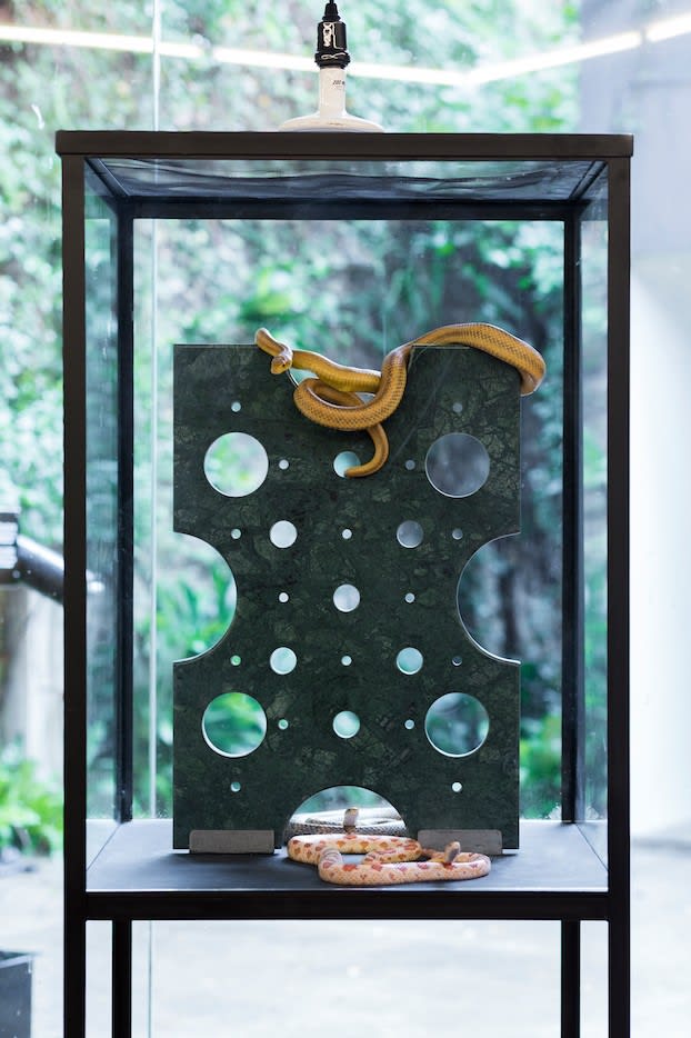 George Henry Longly, Promo II, 2016