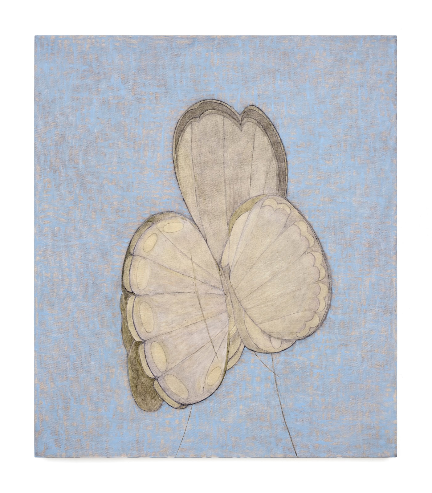Krzysztof Grzybacz, Butterfly, 2025