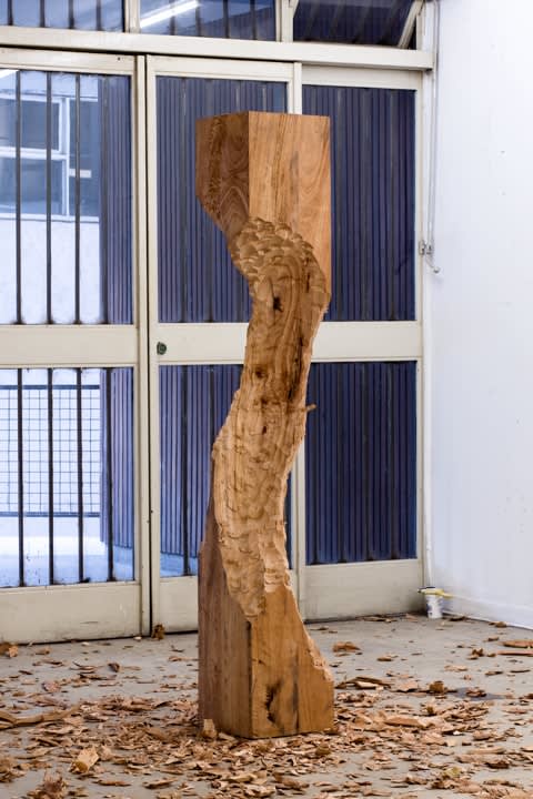 David Adamo, Sem Título (mw 6), 2013