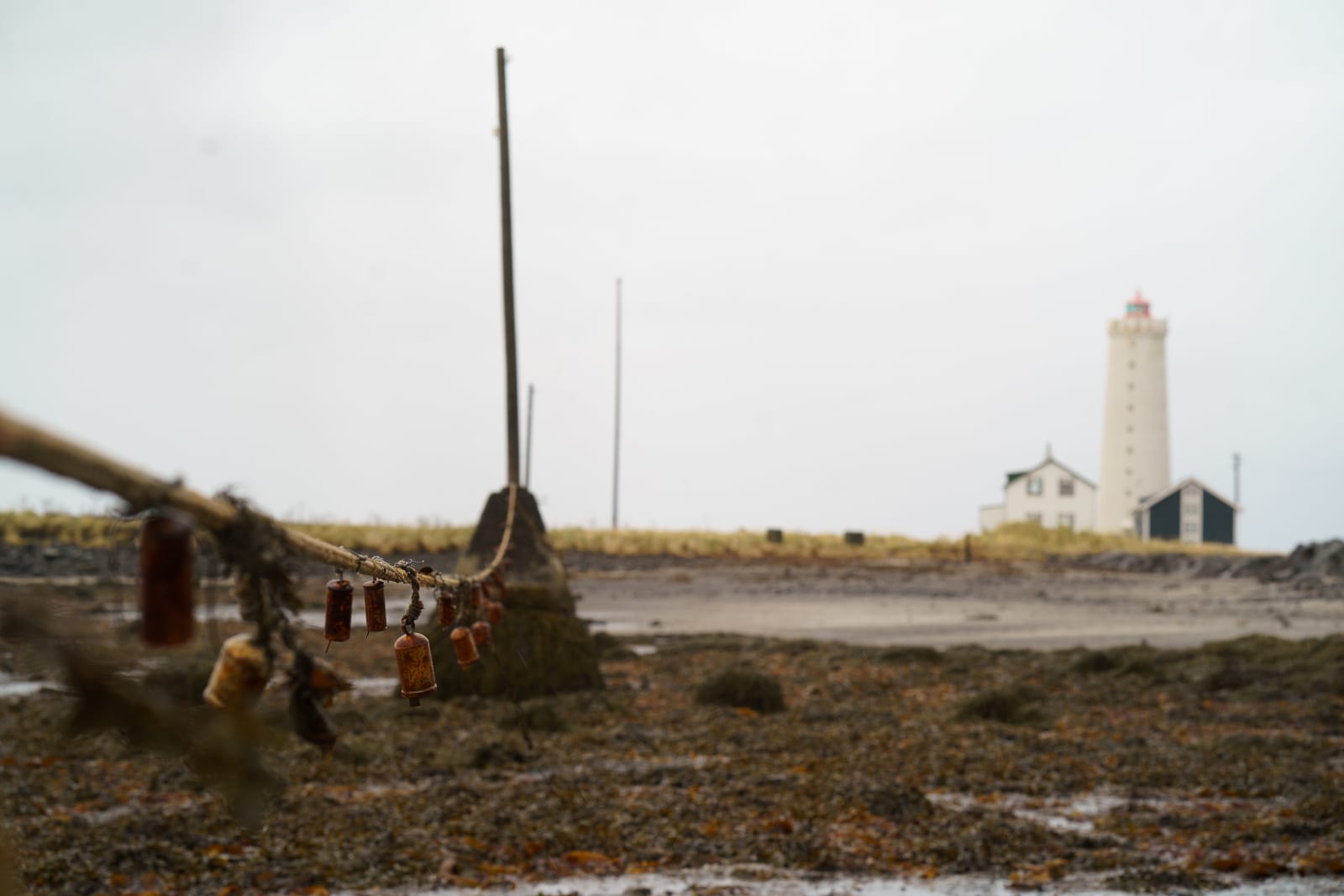 Precious Okoyomon, Fragmented sky – wind – fly – giving presence to wind, 2023