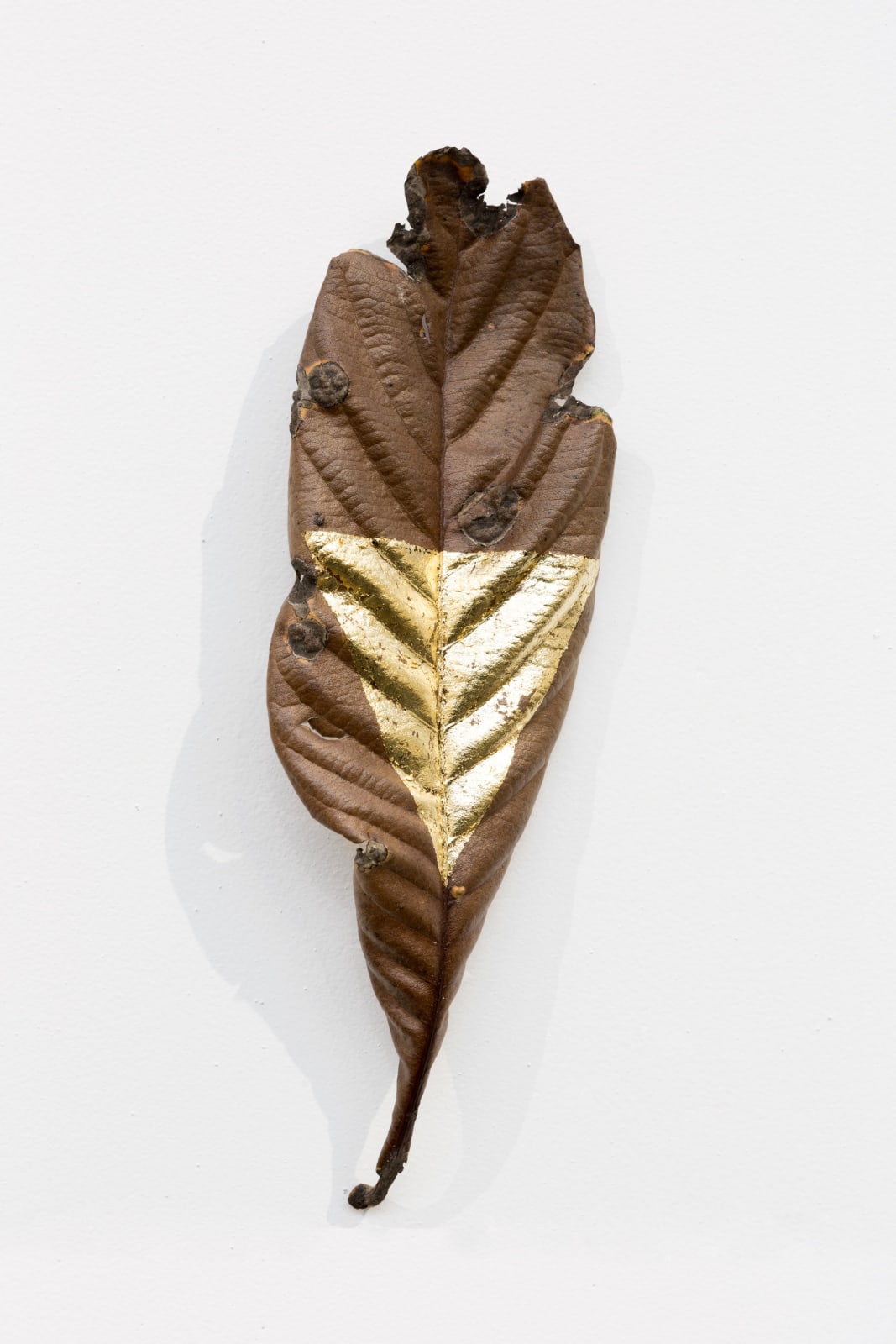 Daniel Steegmann Mangrané, Masks, 2019