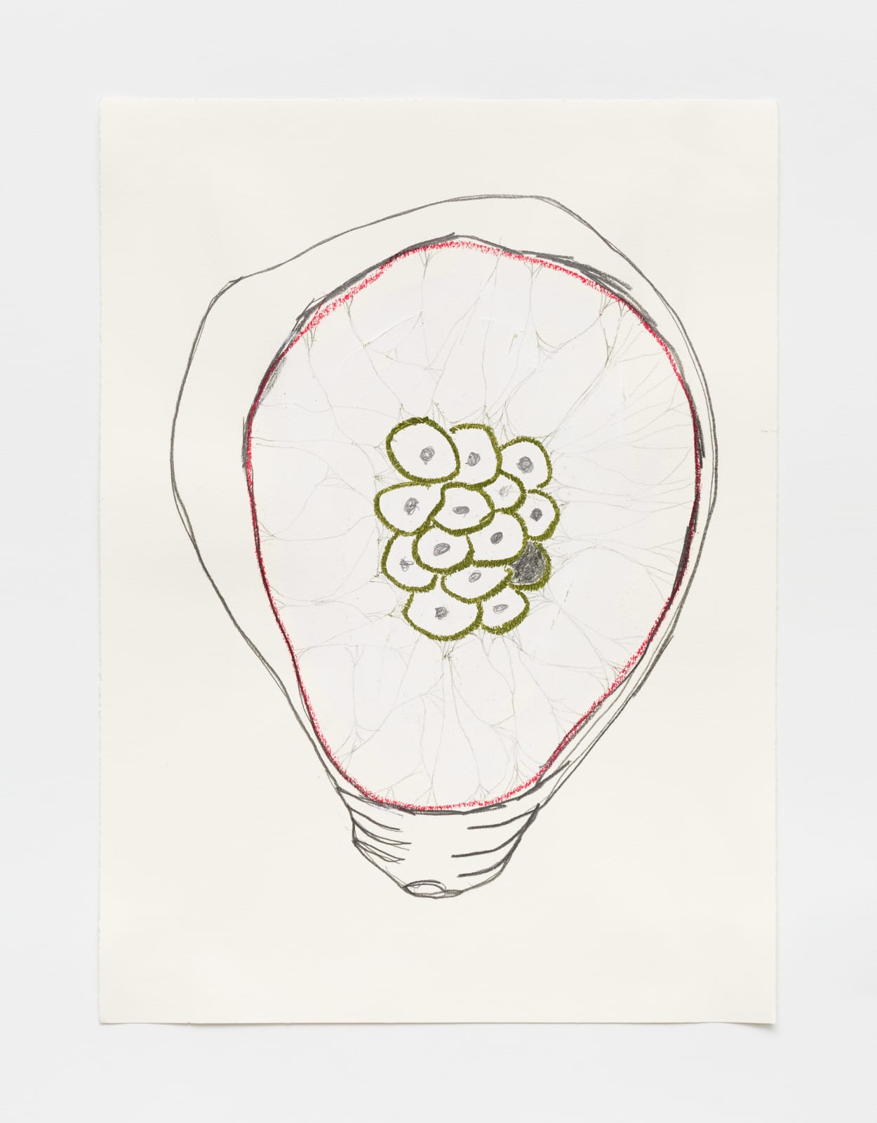 Rosana Paulino, Untitled, 2001