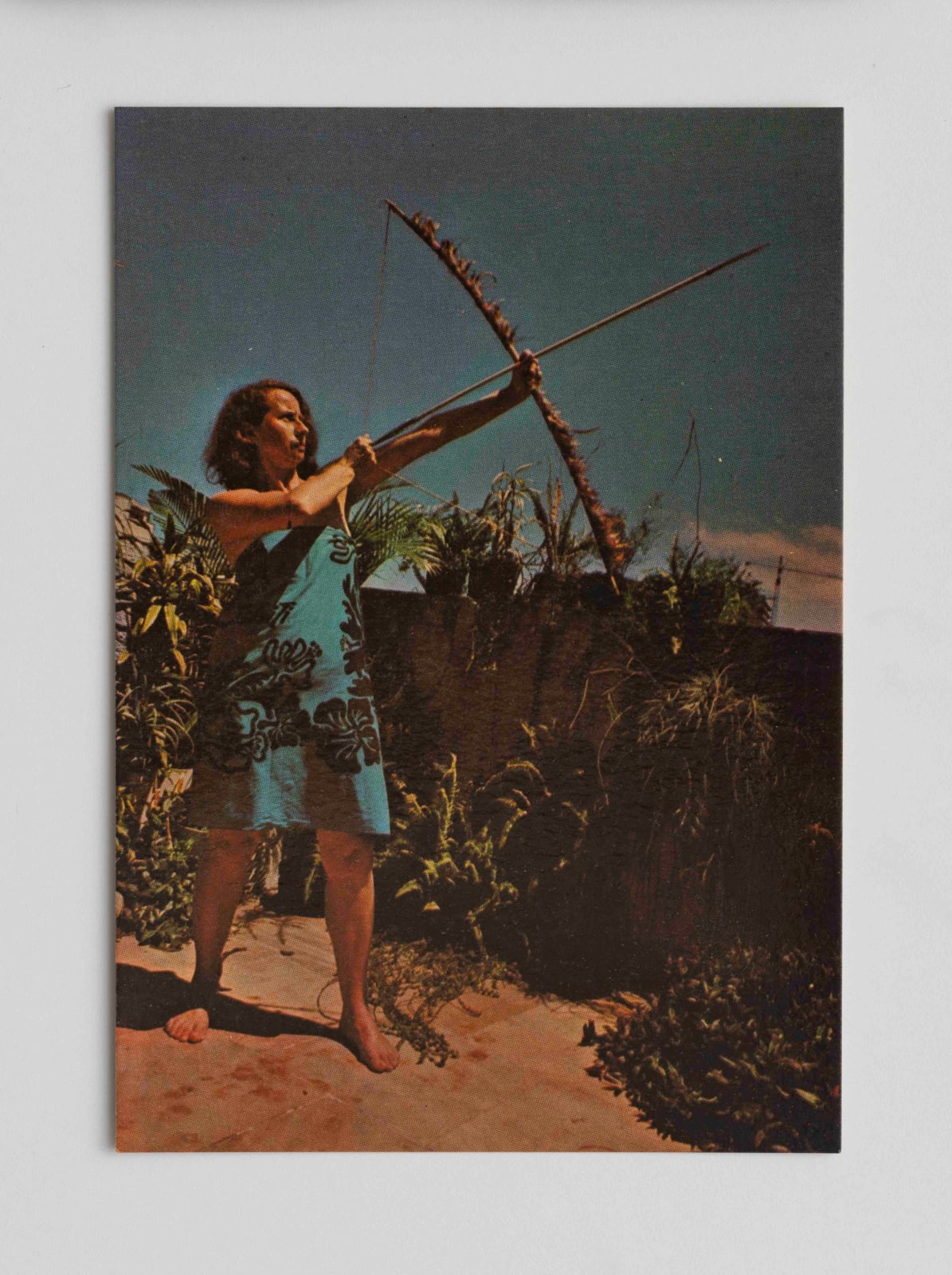 Anna Bella Geiger, Brasil nativo / Brasil alienígena, 1976-1977