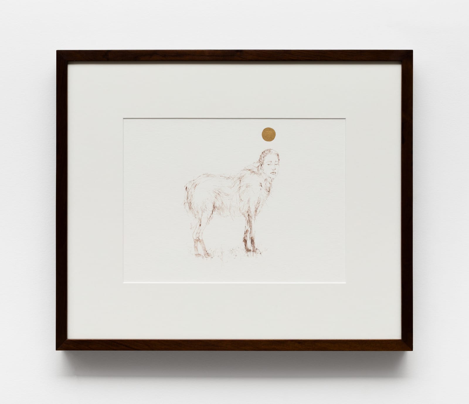 Antonio Obá, Licantropia para um lobo-guará, 2024