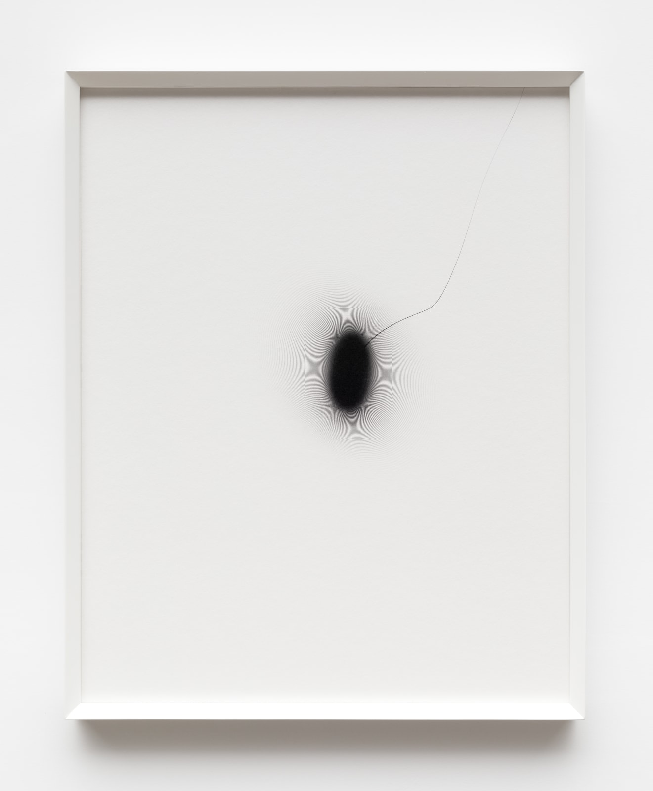 Leticia Ramos, PHOTODRAWING, 2021