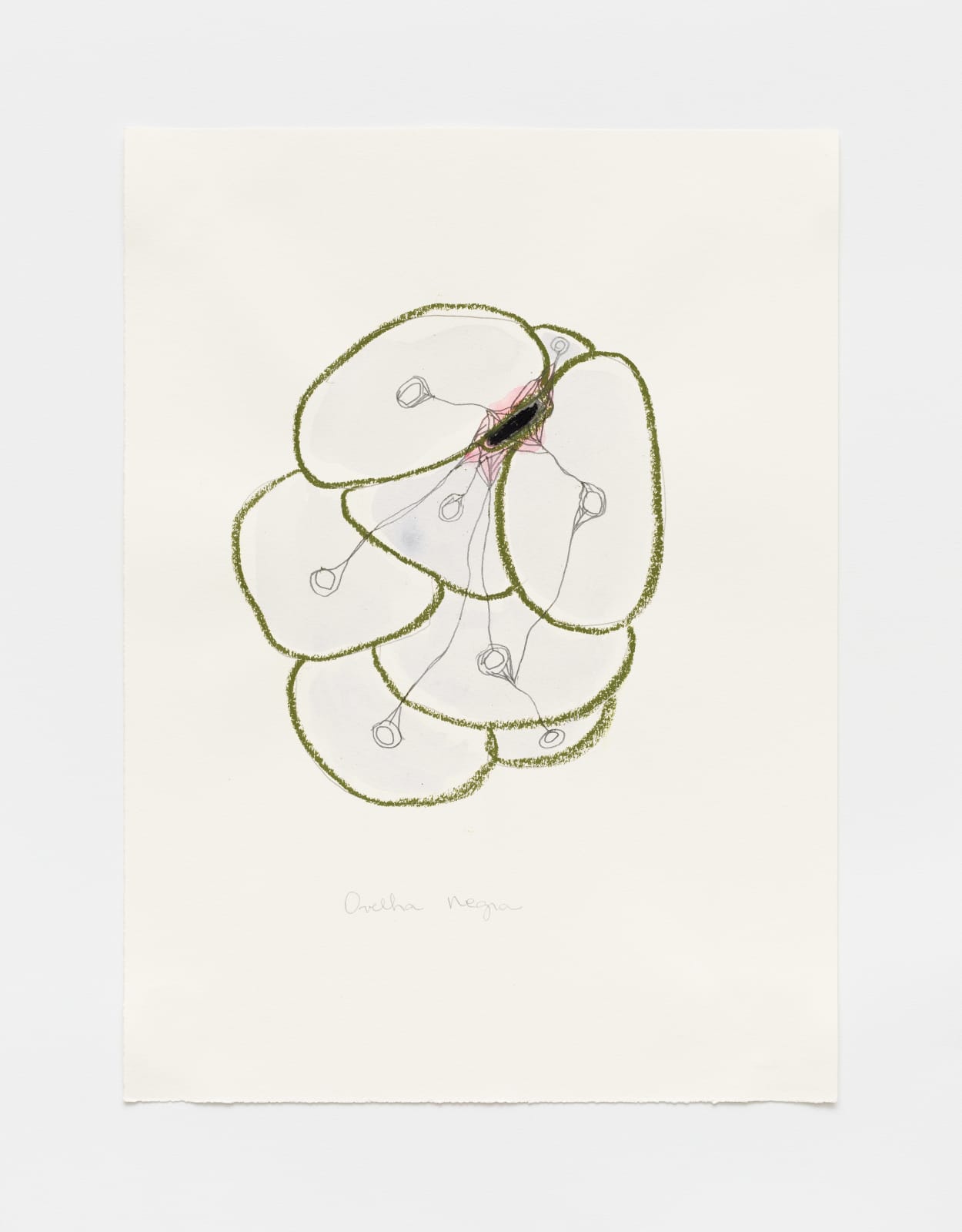 Rosana Paulino, Ovelha Negra, 2001