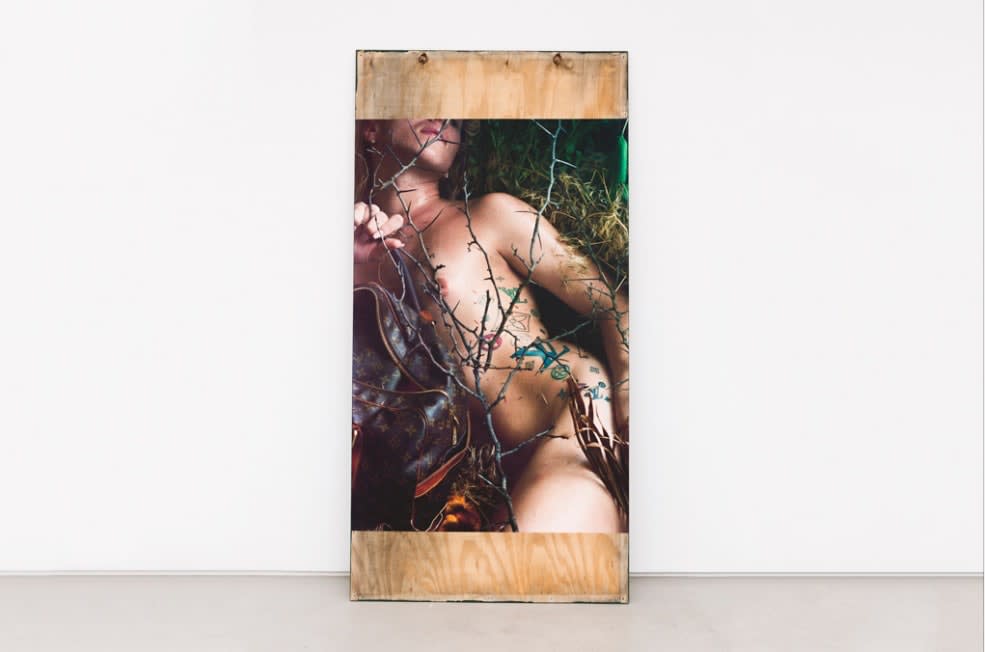 Stewart Uoo, Untitled (Thicket), 2015