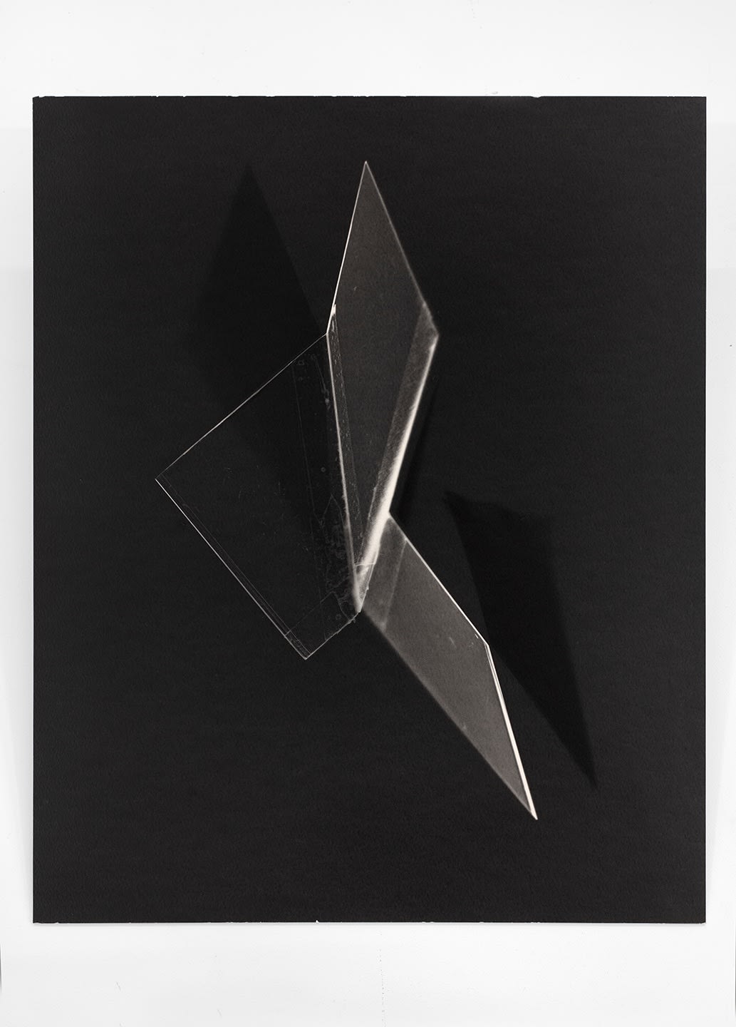 Leticia Ramos, Bichos Quadrados III, 2019