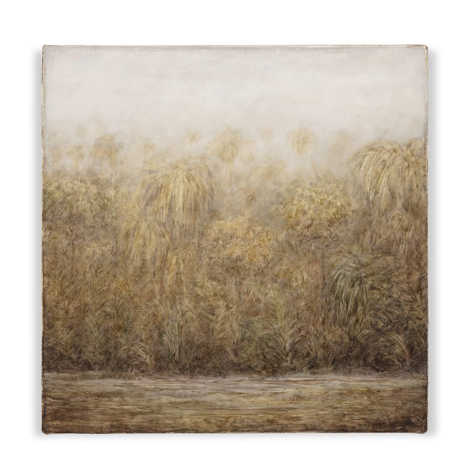 Lucas Arruda, Untitled (from the Deserto-Modelo series), 2019