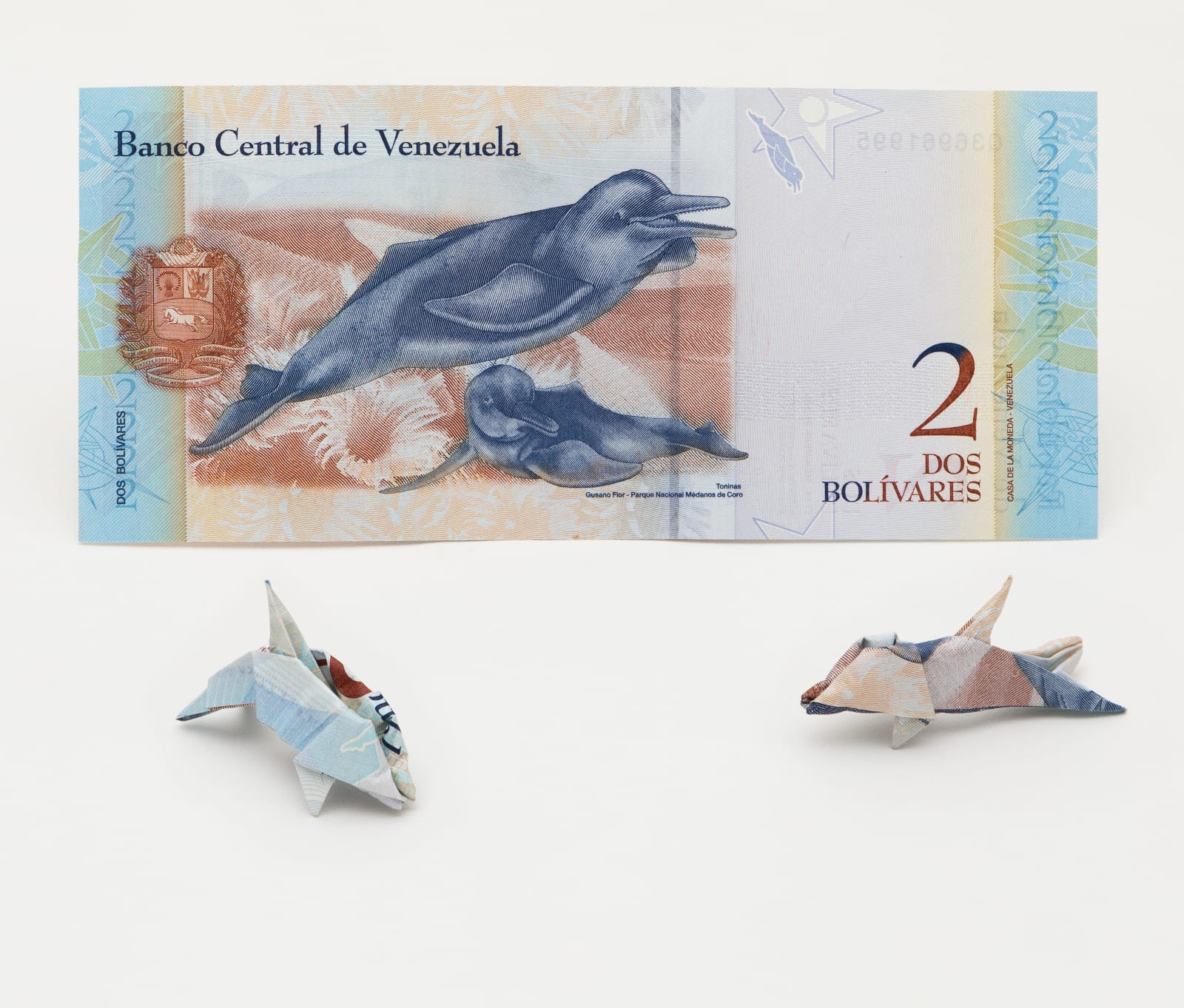 Paulo Nazareth, MC - Bestiary of Capital, 2019