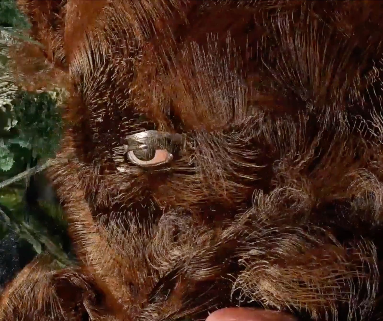 Precious Okoyomon, It’s dissociating season, 2019