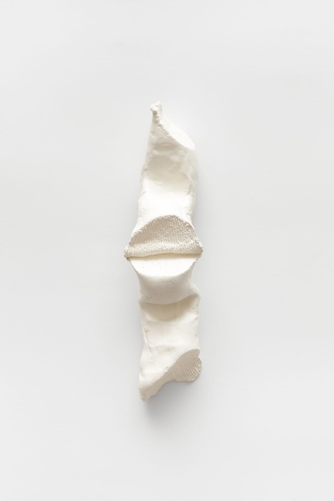 Paulo Monteiro, Untitled, 2024