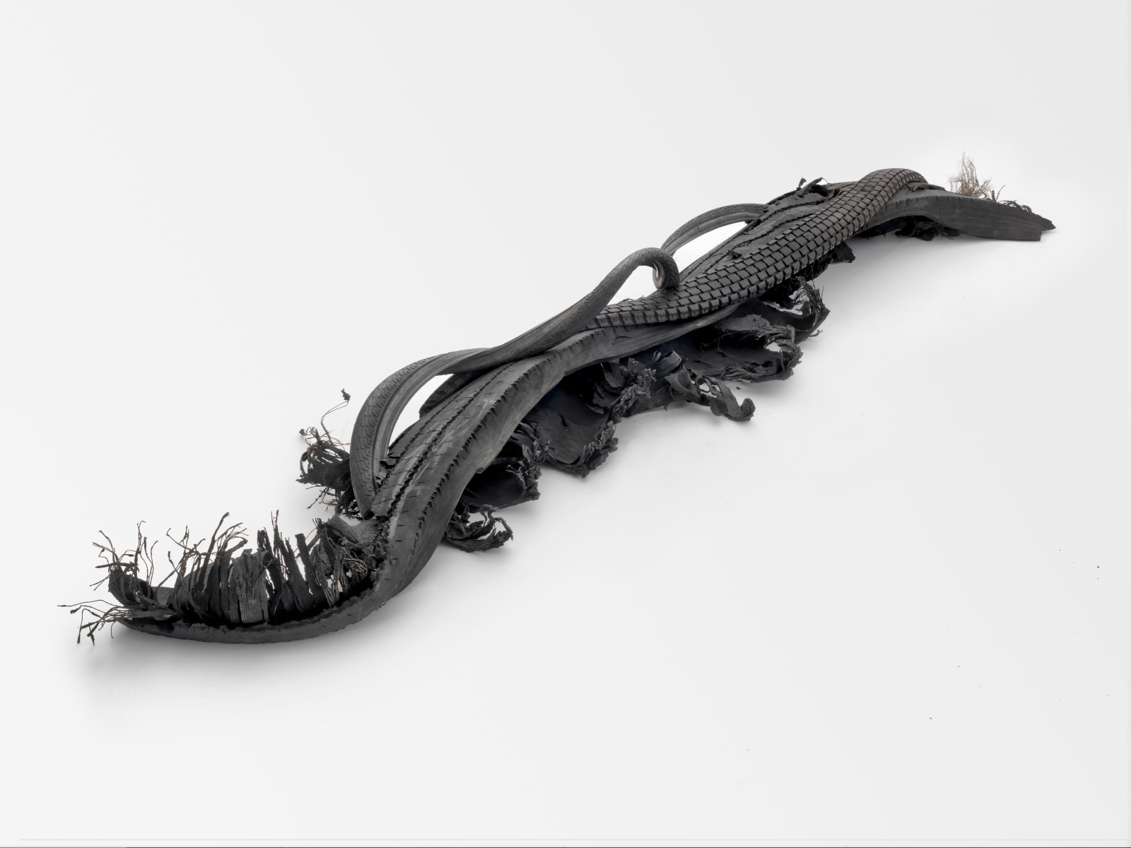 Huma Bhabha, Untitled | Sem título, 2013