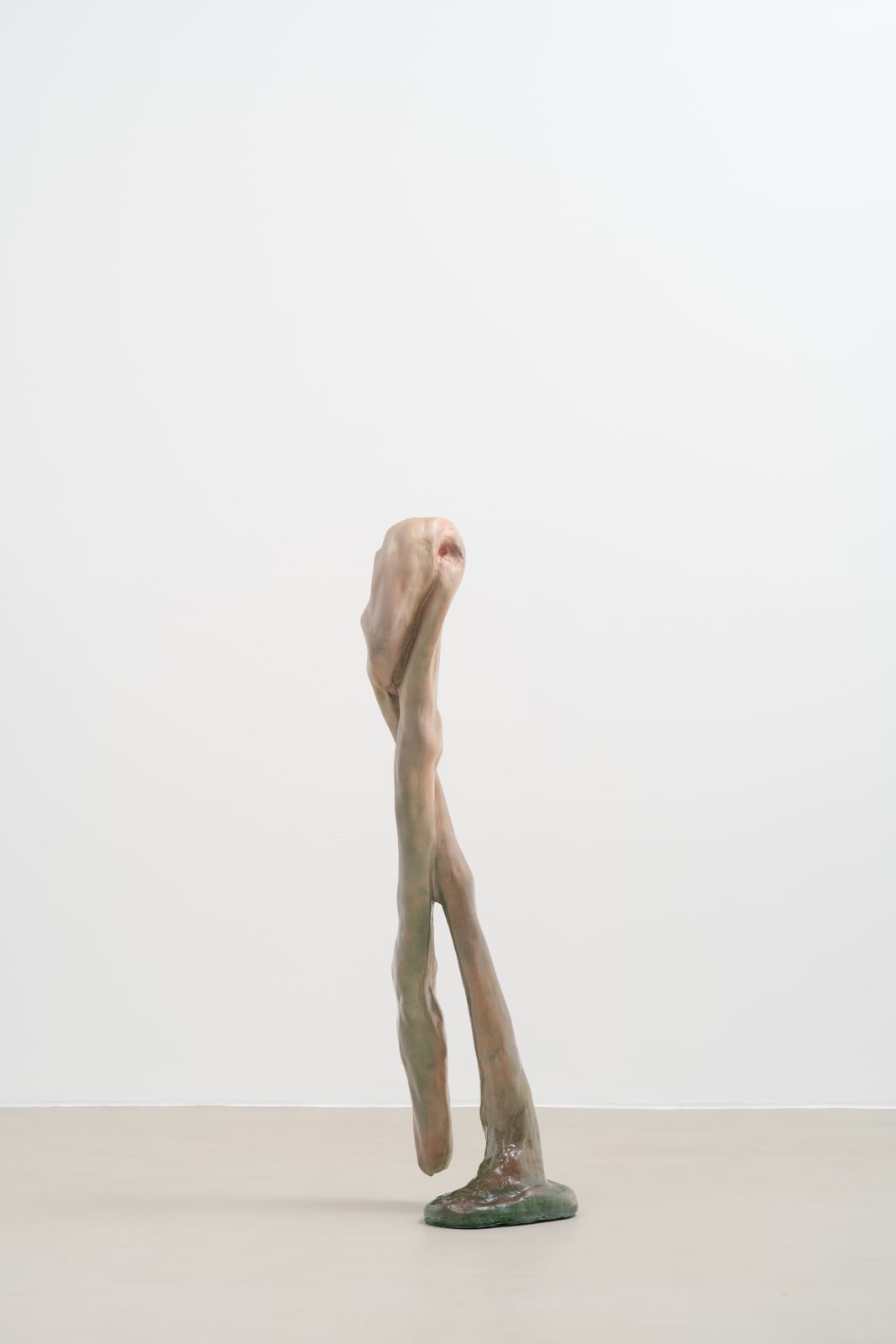 Paloma Bosquê, Fóssil (capricórnio), 2024