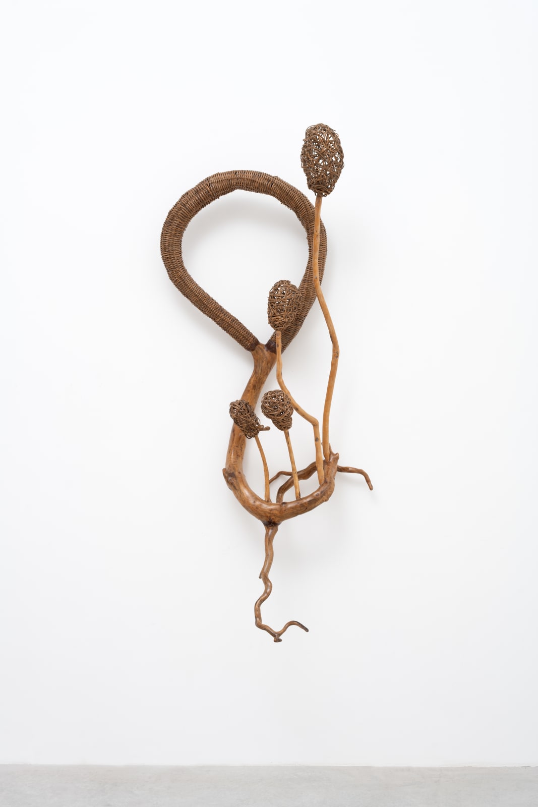 Advânio Lessa, Untitled | Sem título, 2024