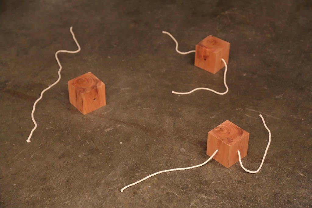 Roberto Winter, Every which way, 2013