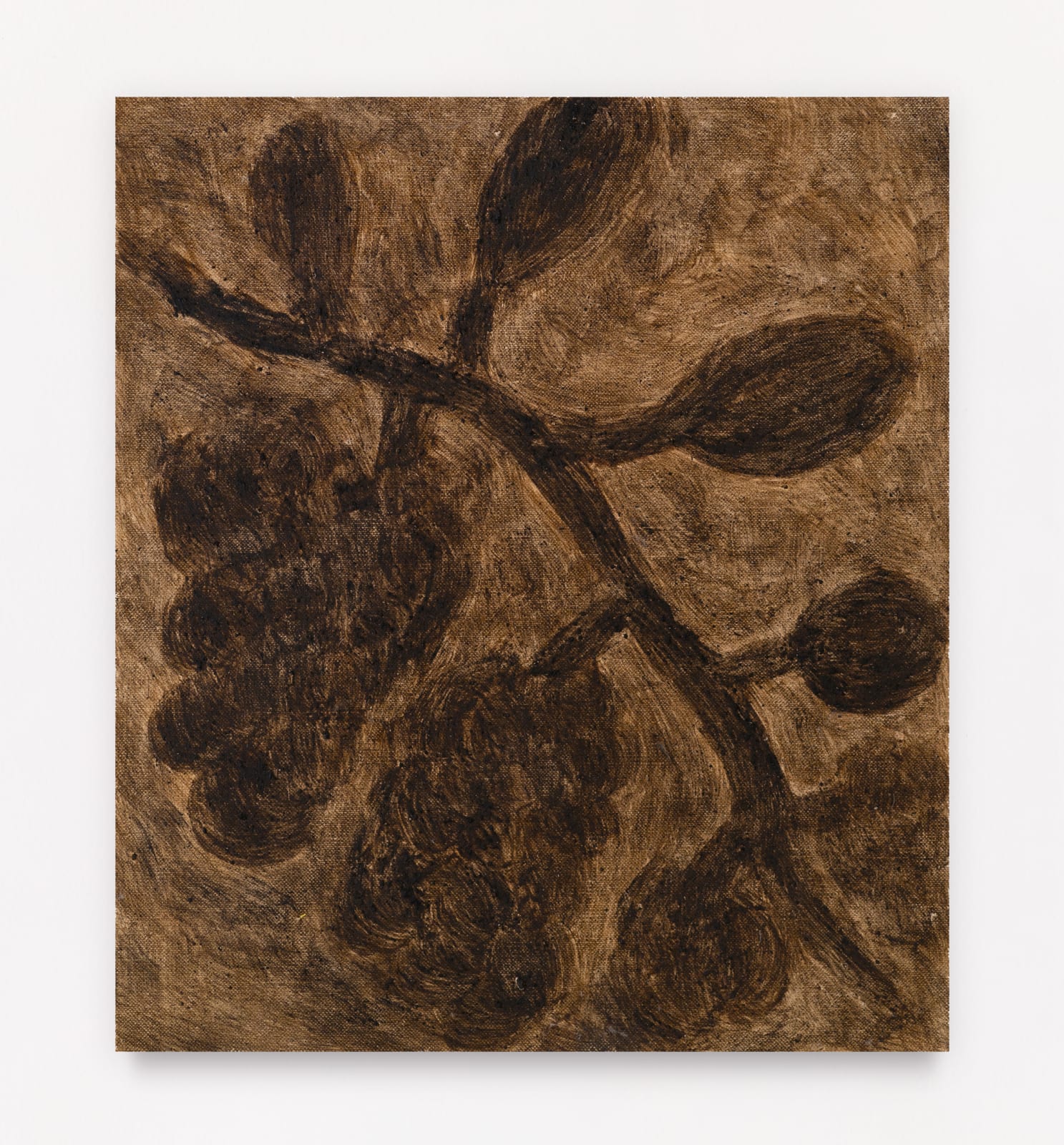 Solange Pessoa, Frugívoros, 2020-2021