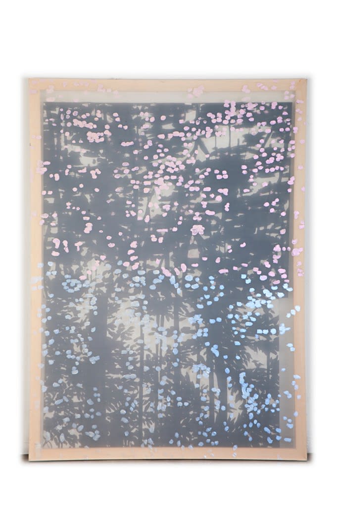 Marina Perez Simão, Sem Título, 2013