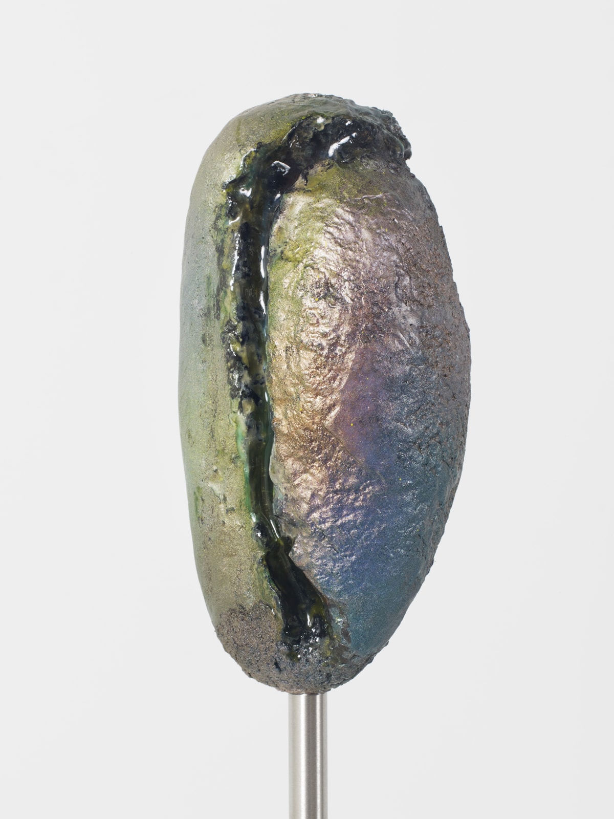 Paloma Bosquê, Búzio (cosmic pussy), 2024
