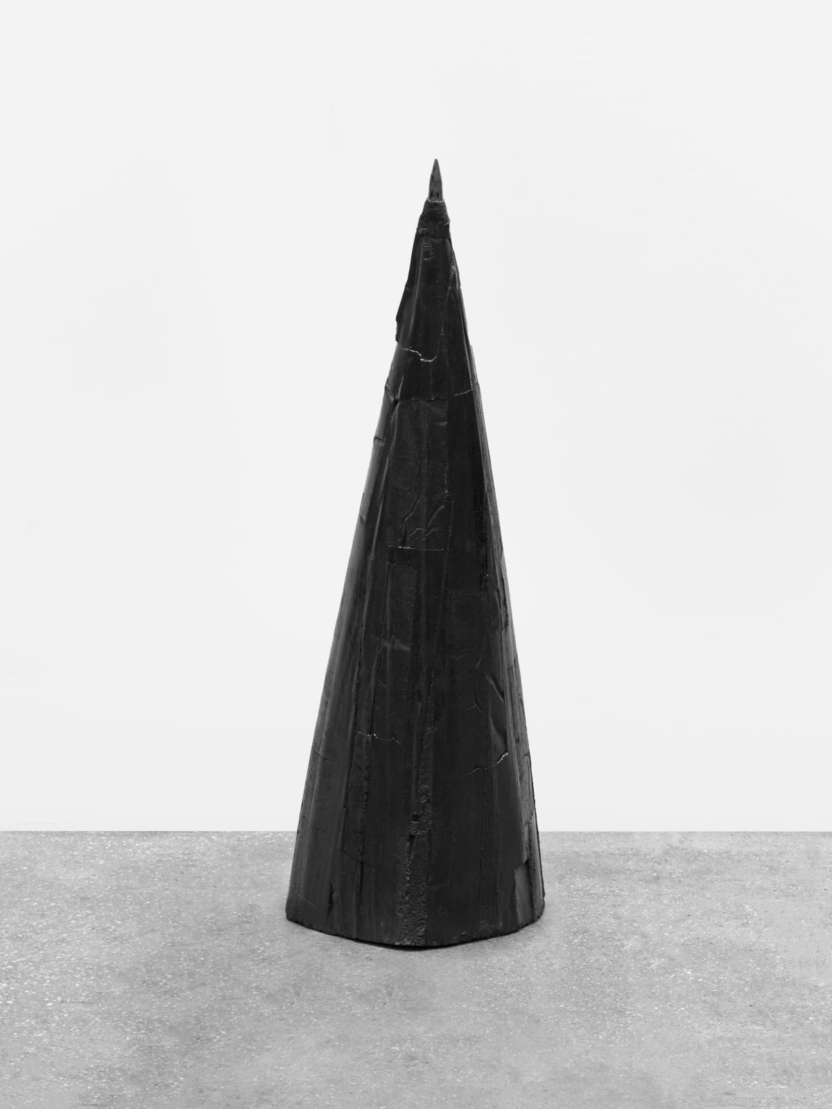 Patricia Ayres, 82.1°, 2025