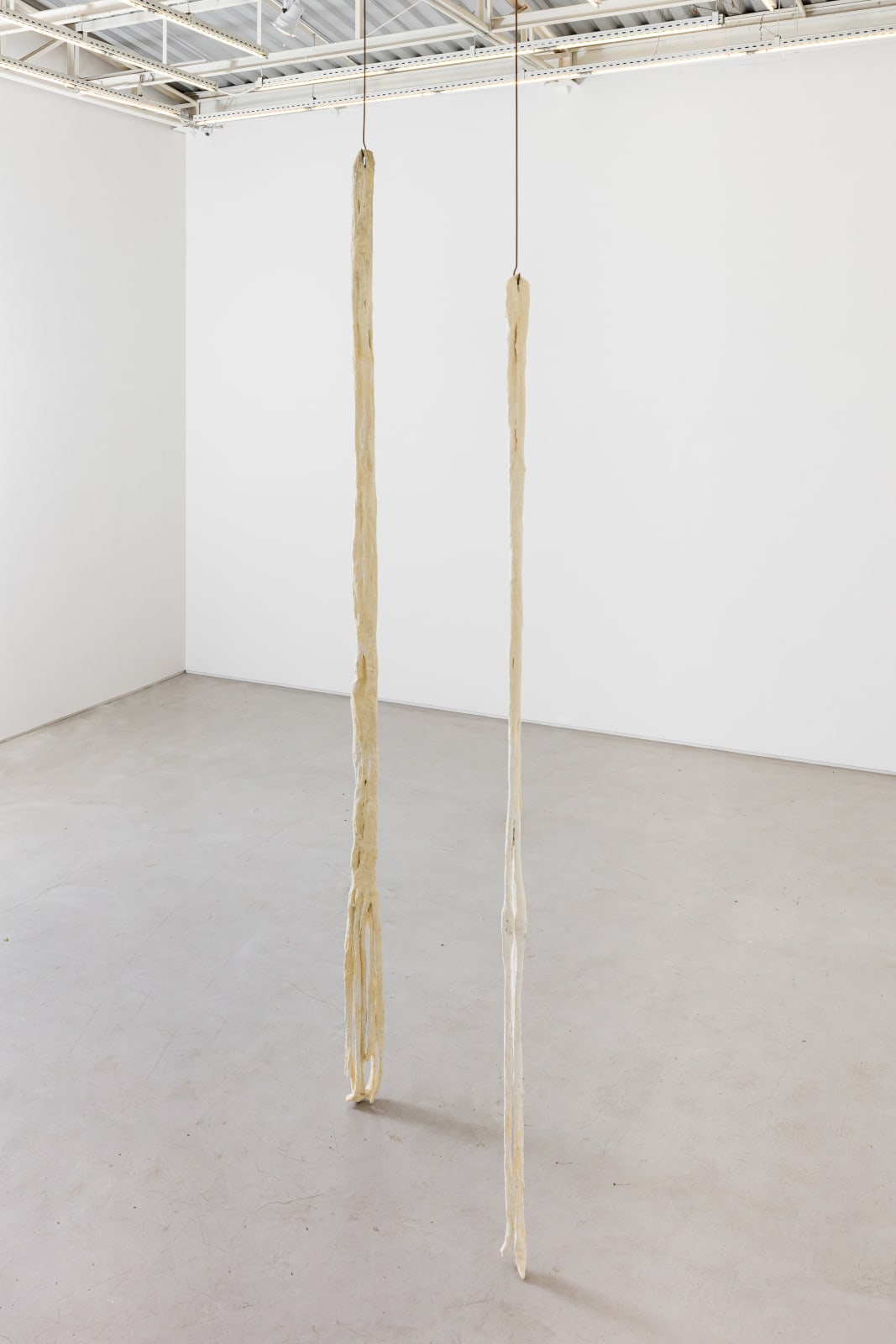 Paloma Bosquê, Sargaço | Seaweed, 2020