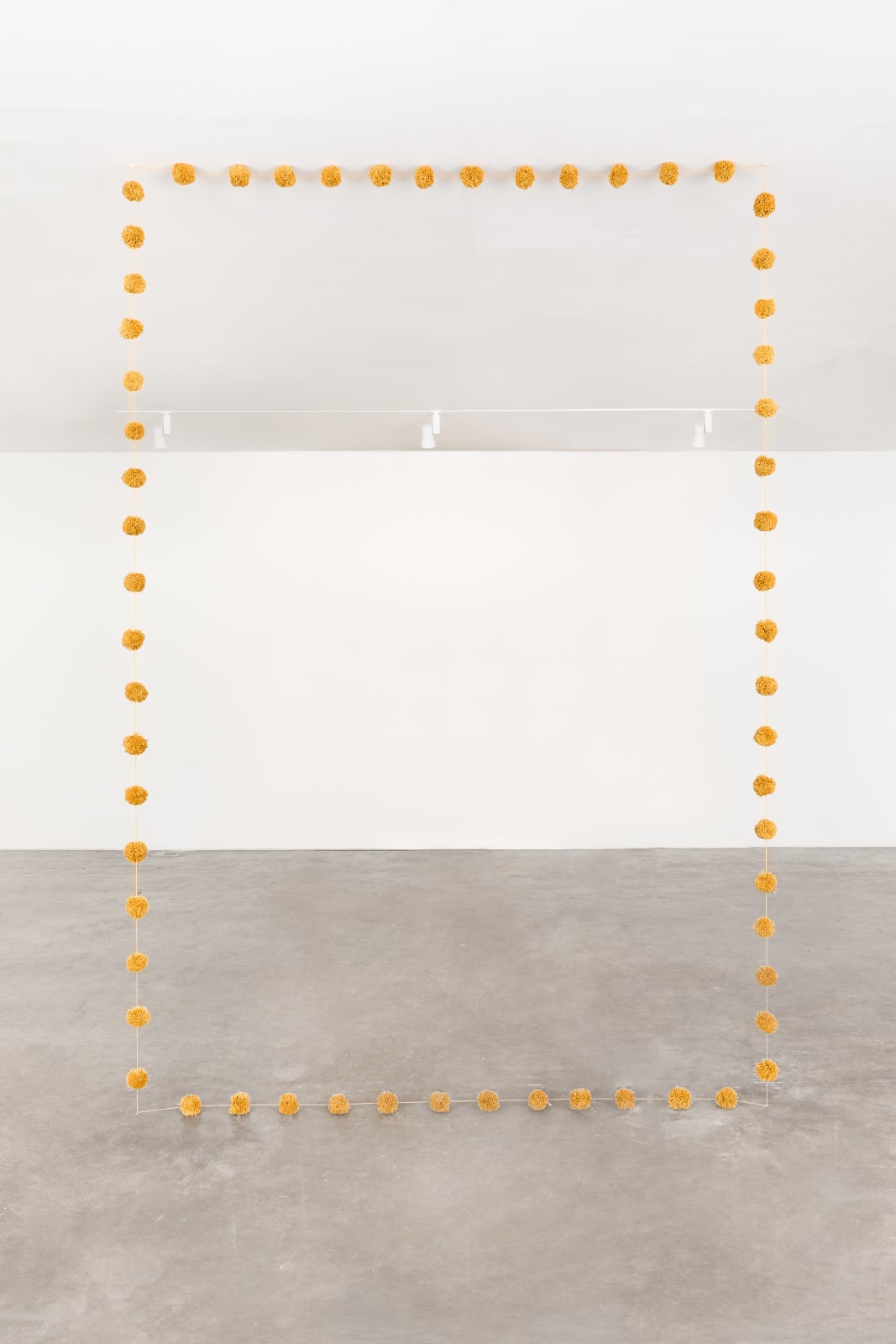 Matthew Lutz-Kinoy, PP03, 2022