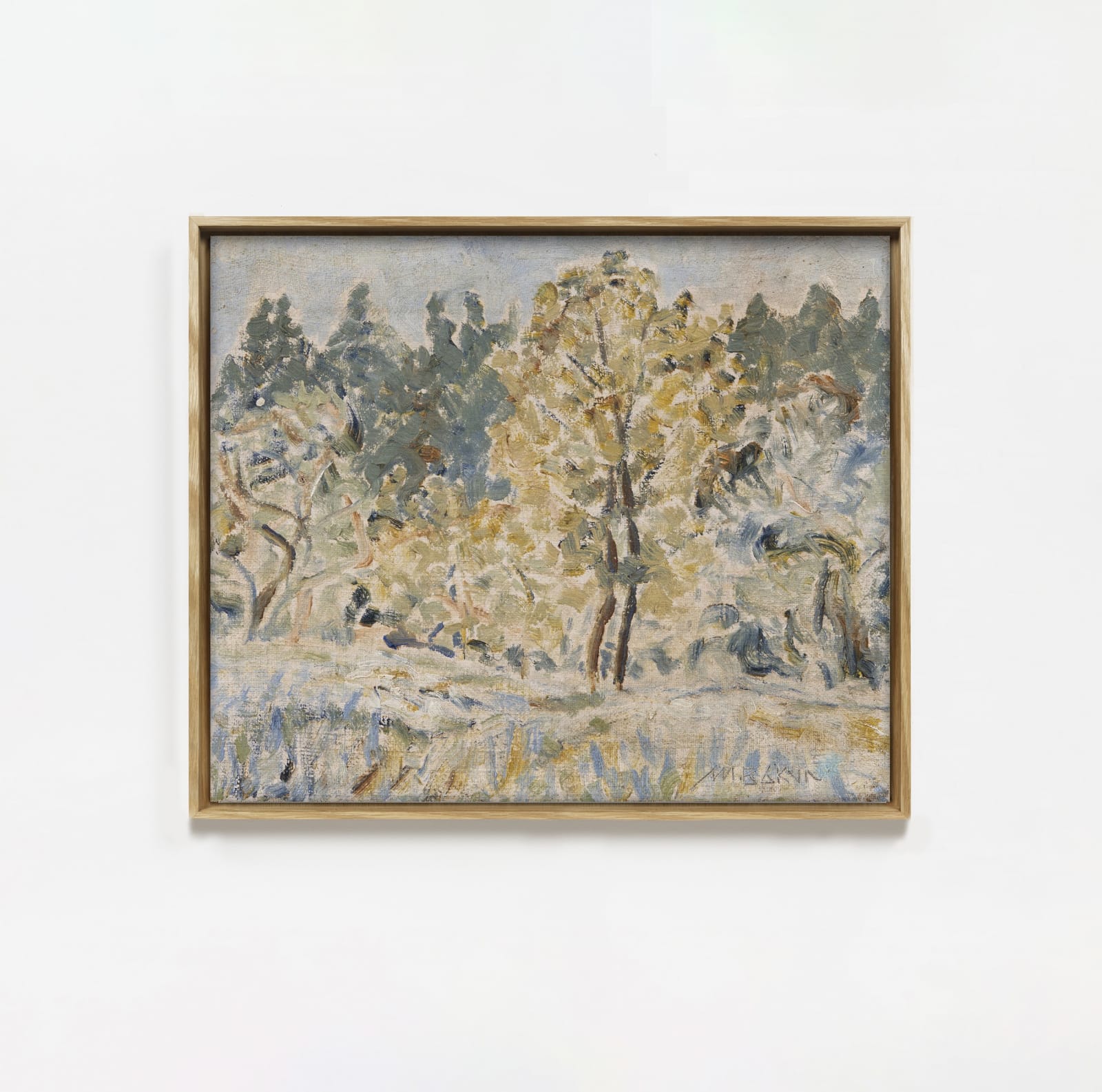 Miguel Bakun, Arvoredo | Woods, 1950