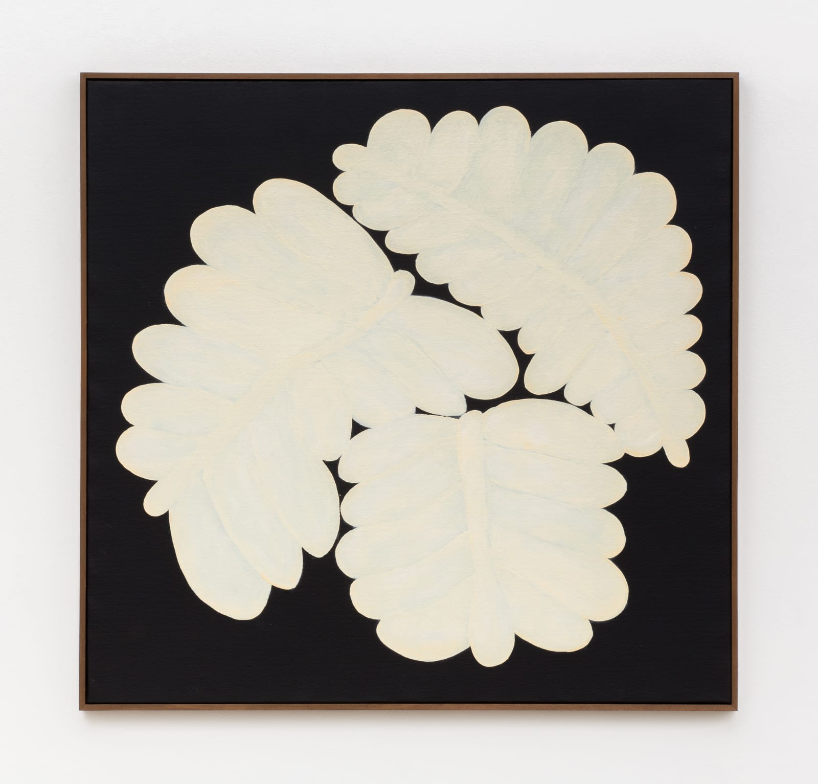 Solange Pessoa, Untitled, from Botânicas series, 2018