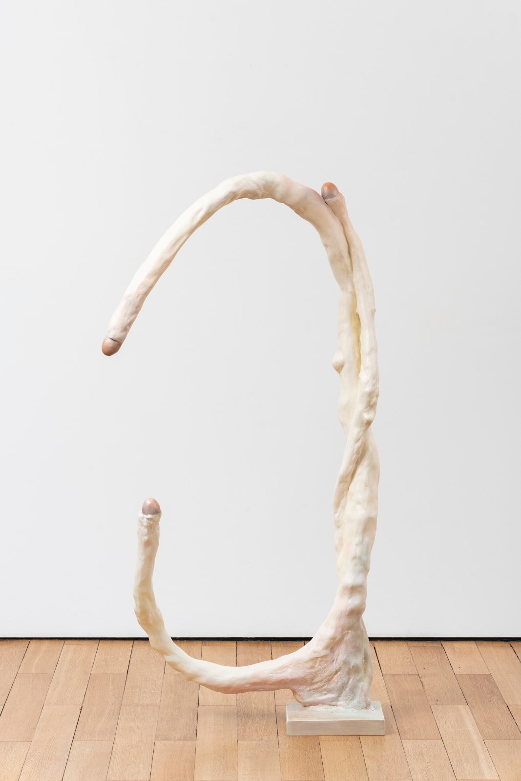 Paloma Bosquê, Swan Tree / Árvore Cisne, 2022