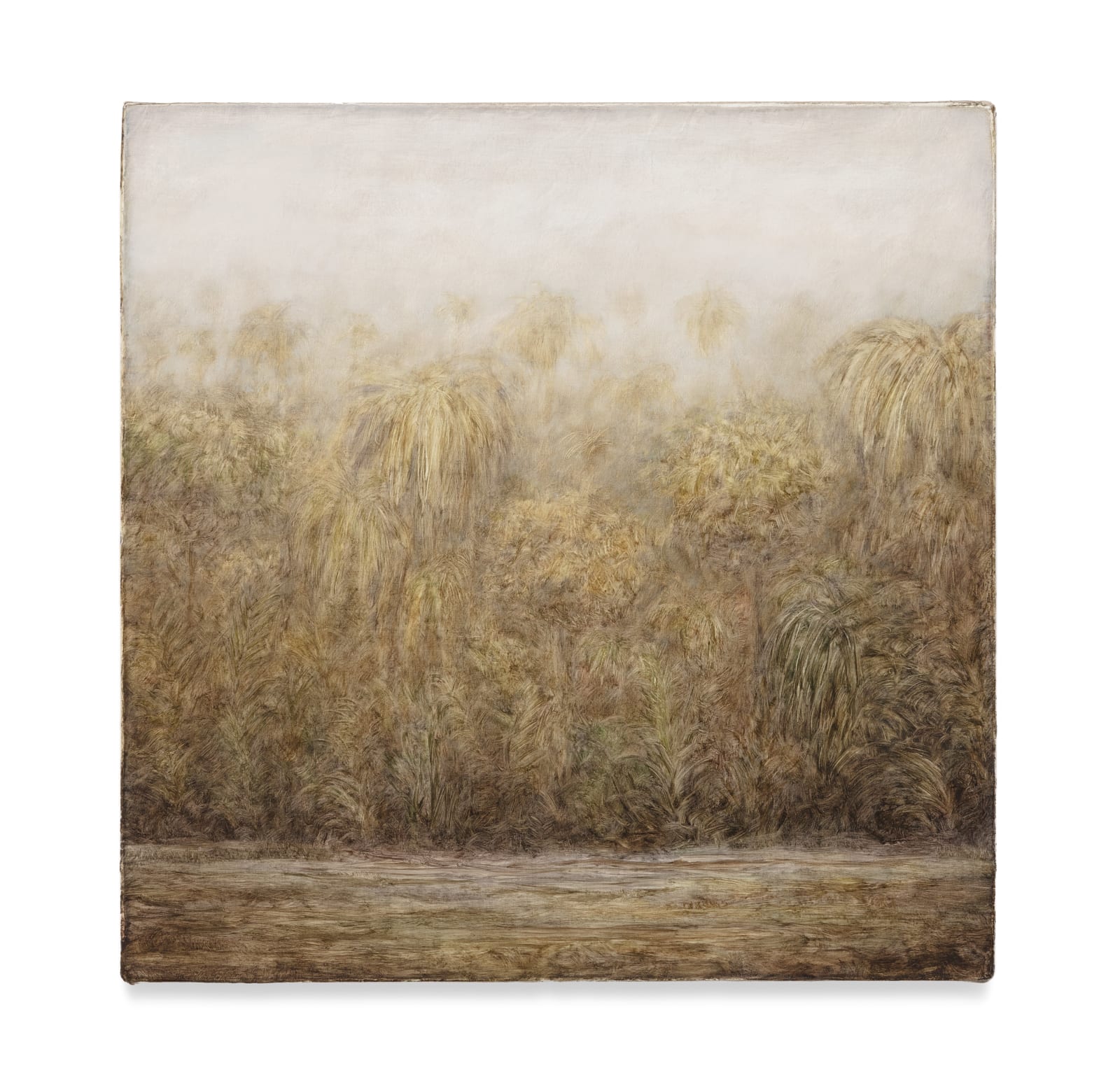 Lucas Arruda, Untitled (from the Deserto-Modelo series) | Sem título (da série Deserto-Modelo), 2019