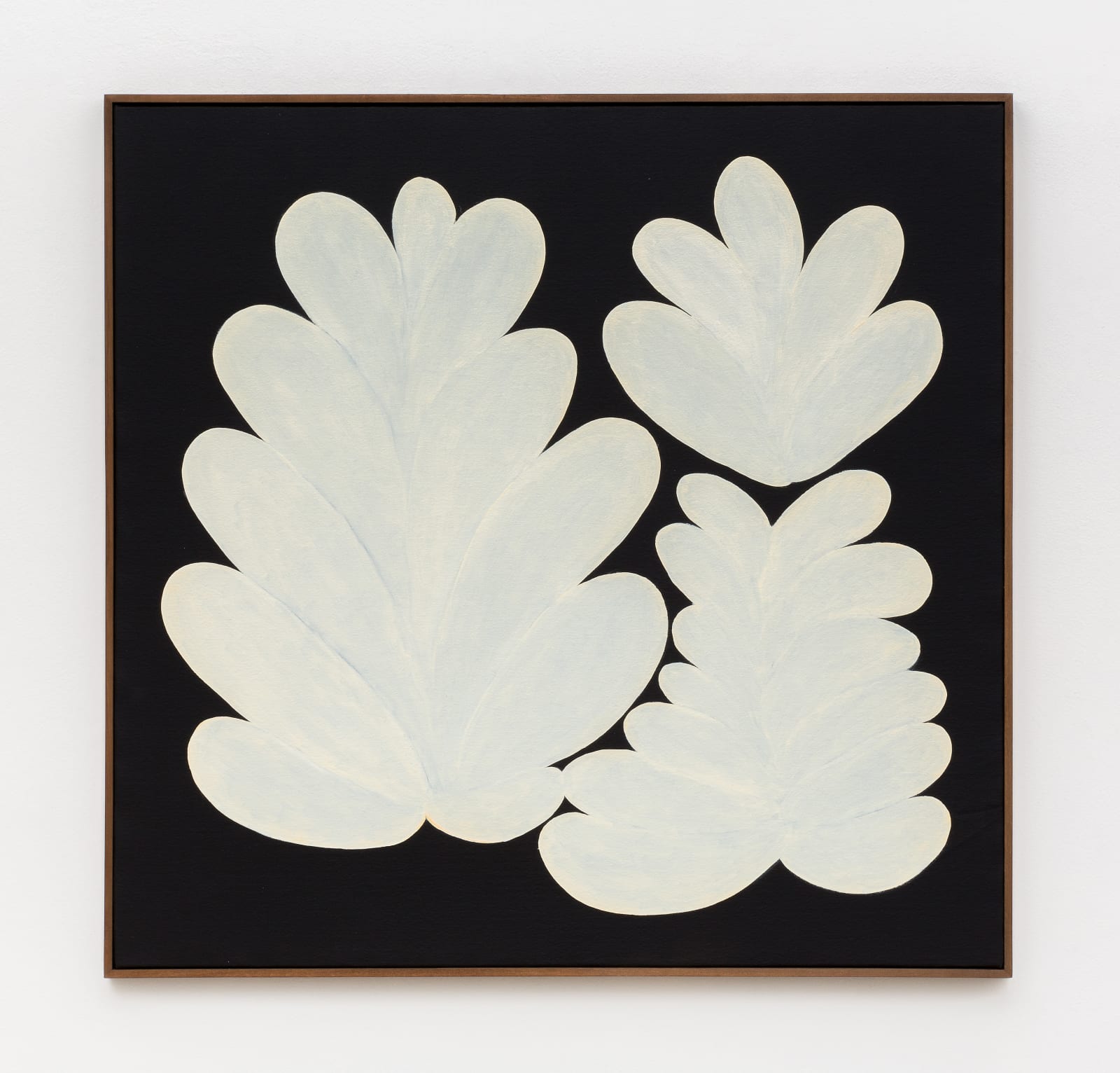 Solange Pessoa, Untitled, from Botânicas series, 2017