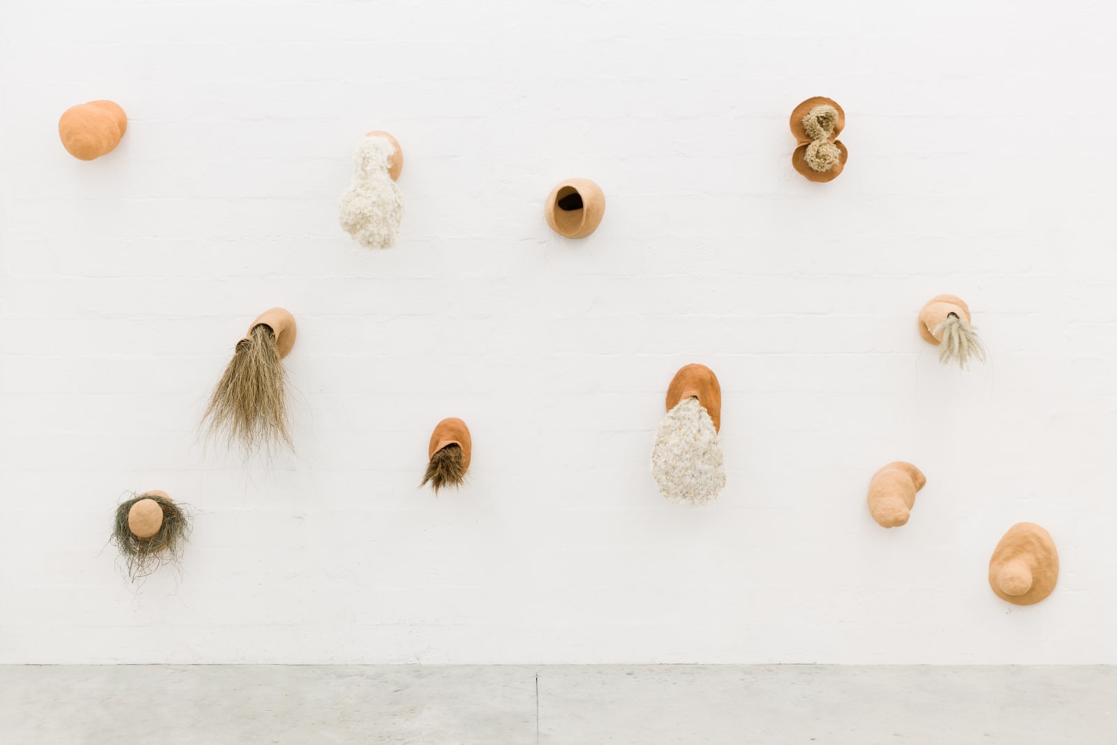 Solange Pessoa, Metaflor-Metaflora, 2005-2012