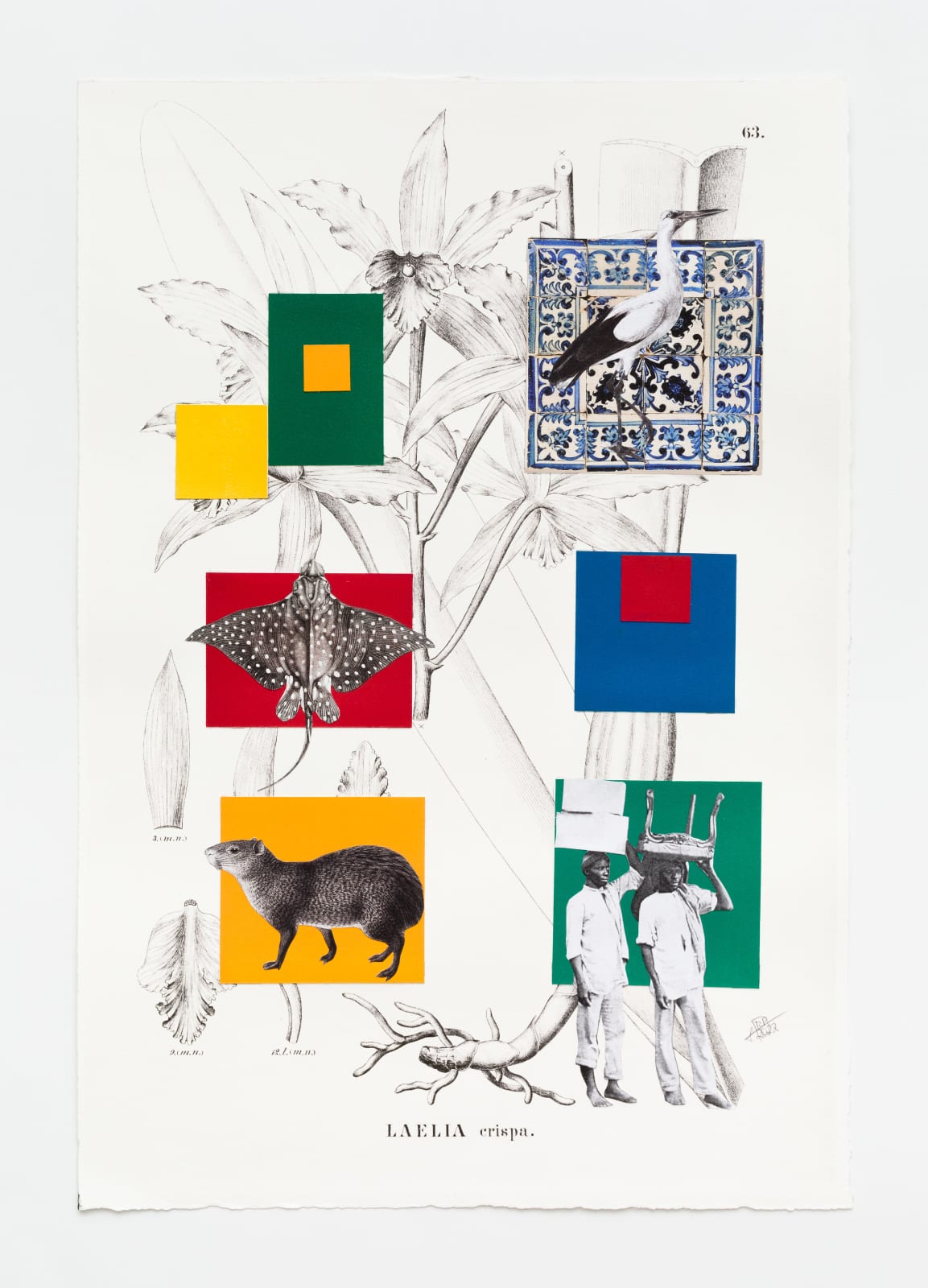 Rosana Paulino, A geometria à brasileira chega ao paraíso tropical, 2022