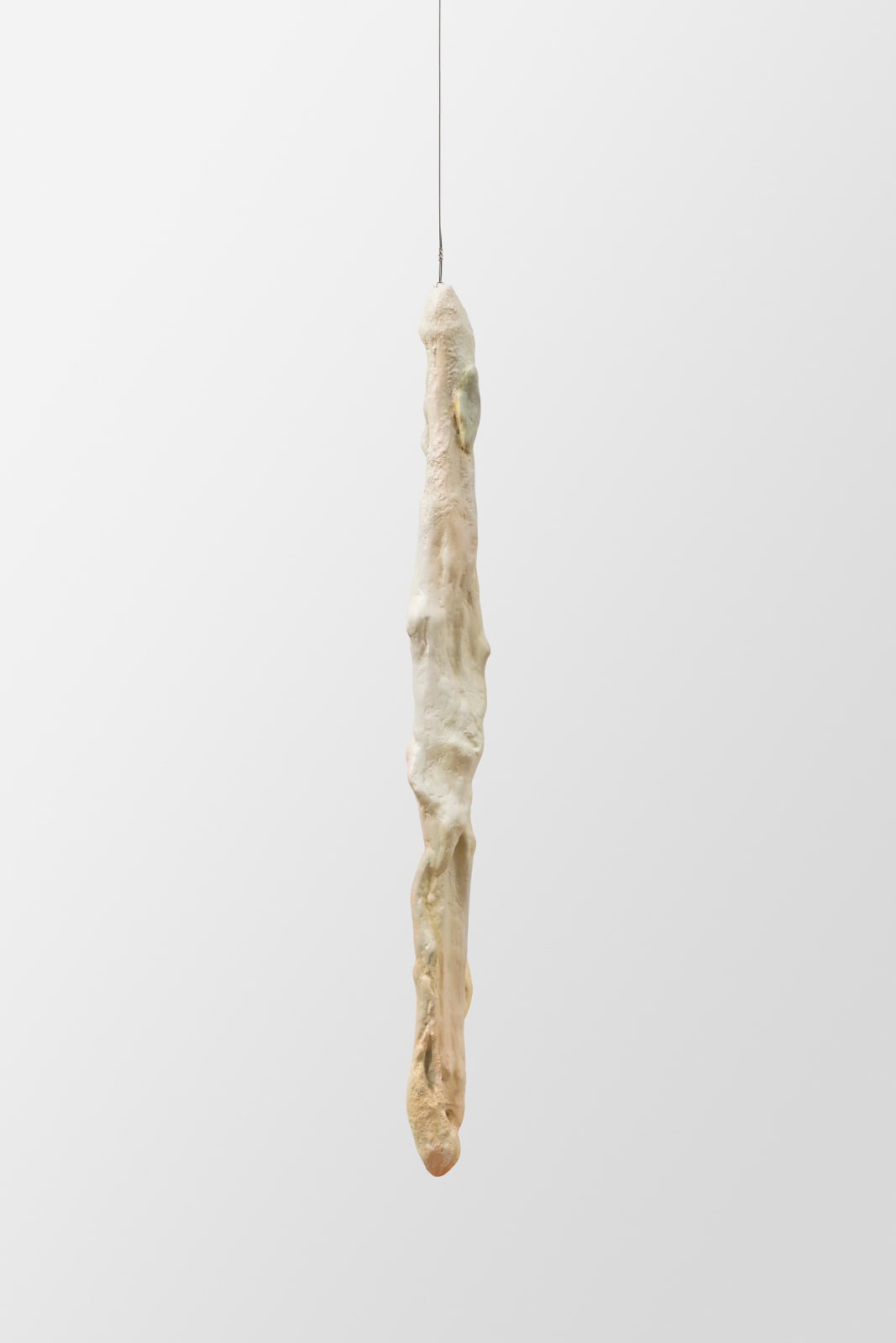 Paloma Bosquê, Fossil, 2022