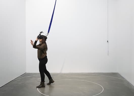 Daniel Steegmann Mangrané, Phantom (kingdom of all the animals and all the beasts is my name), 2014-2015