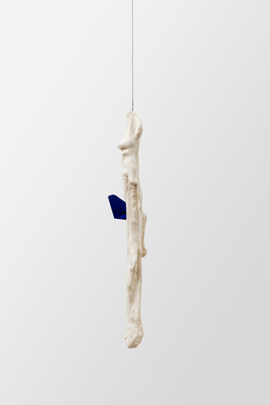 Paloma Bosquê, Fossil, 2022