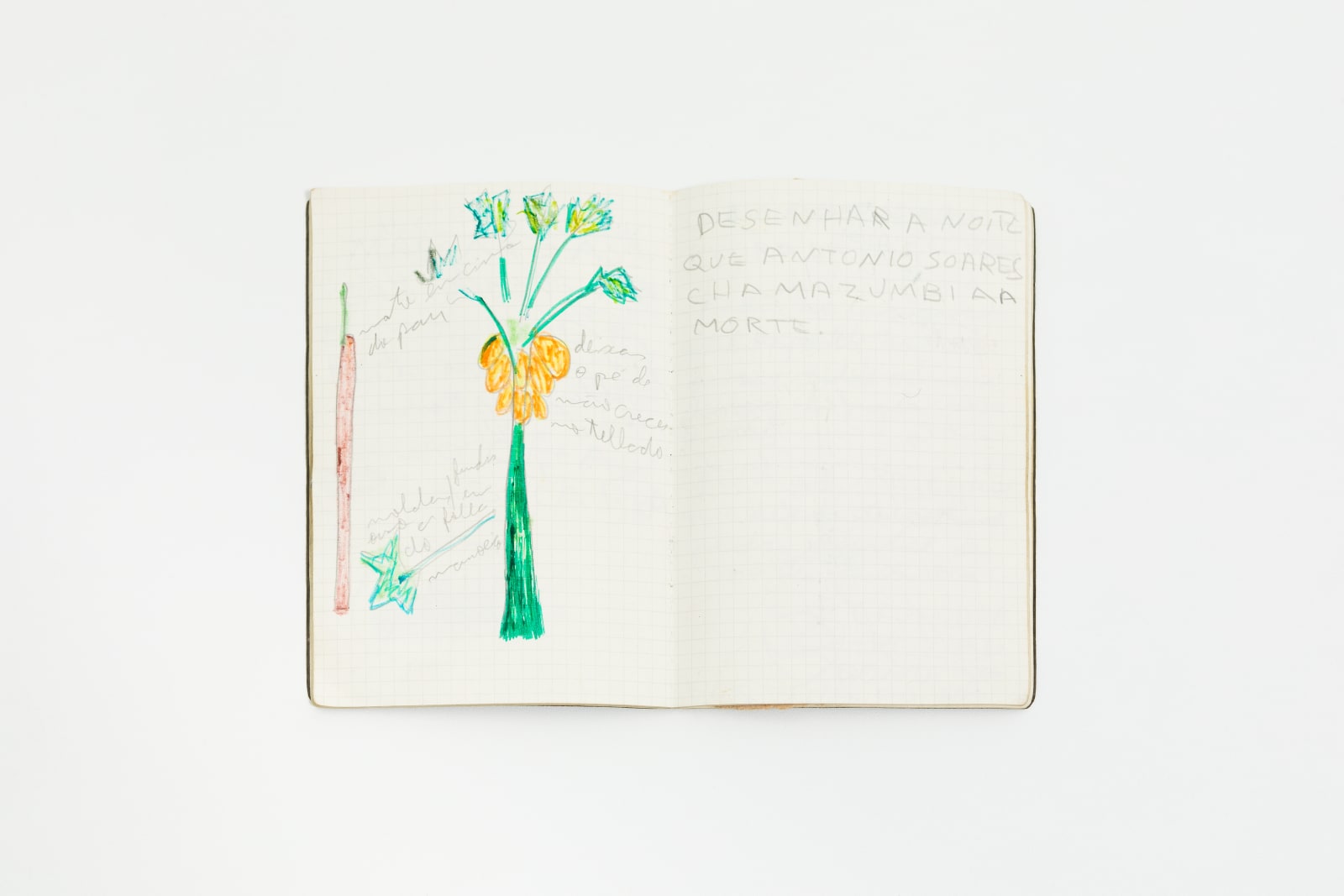 Paulo Nazareth, Mamão, 2000/2010