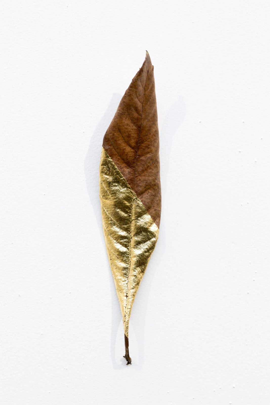 Daniel Steegmann Mangrané, Masks, 2019