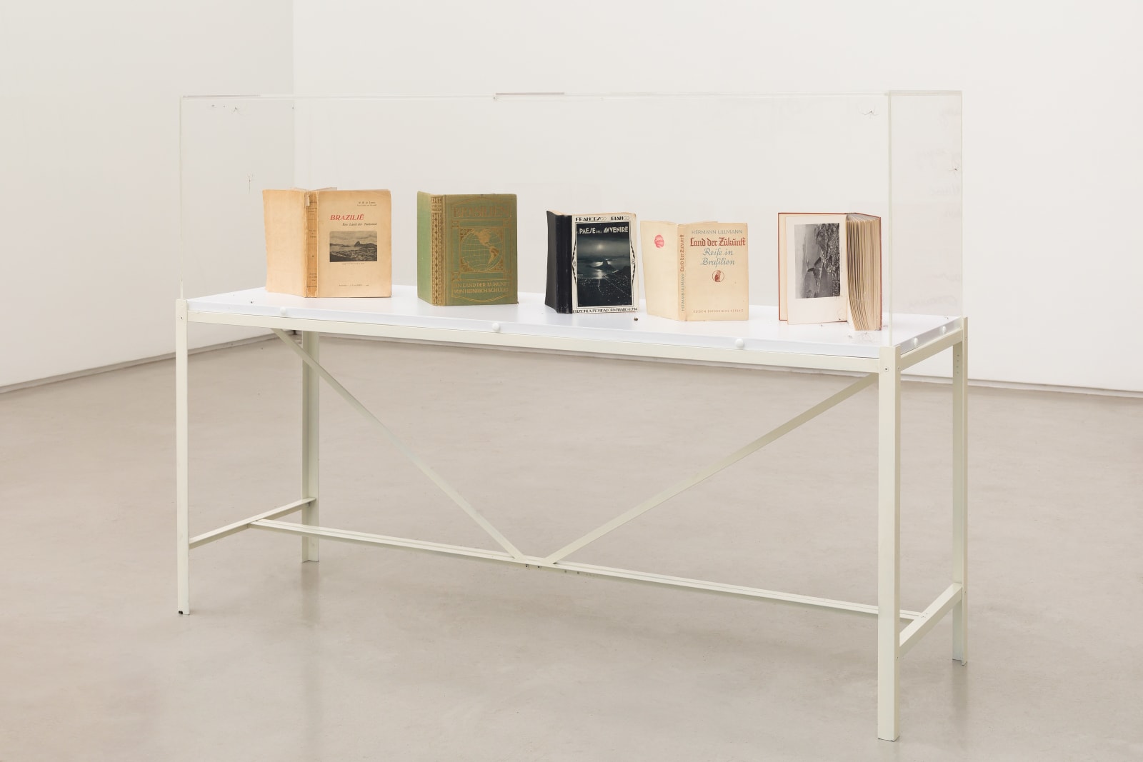 Carla Zaccagnini, Futuro do pretérito , 2016/2017