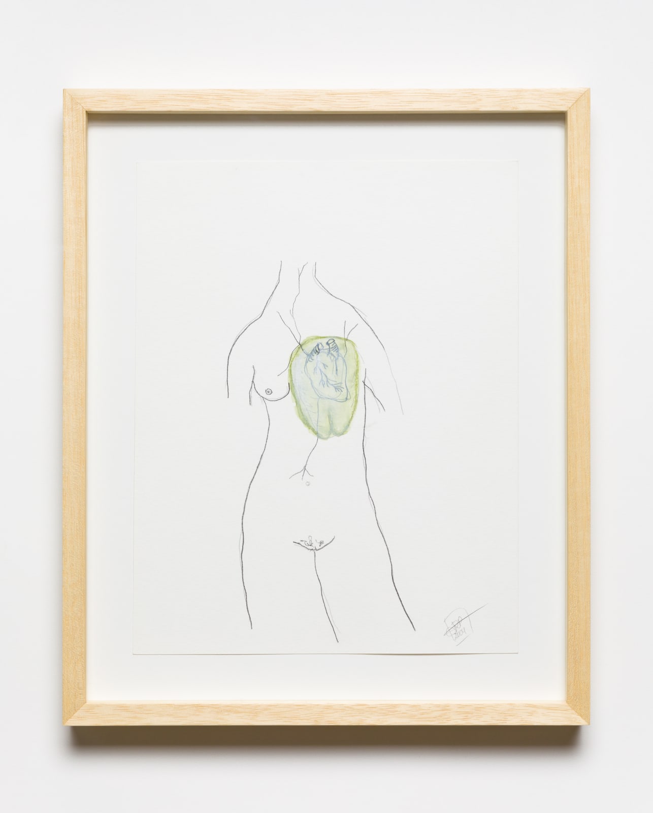 Rosana Paulino, from Carapace of Protection series, 2004