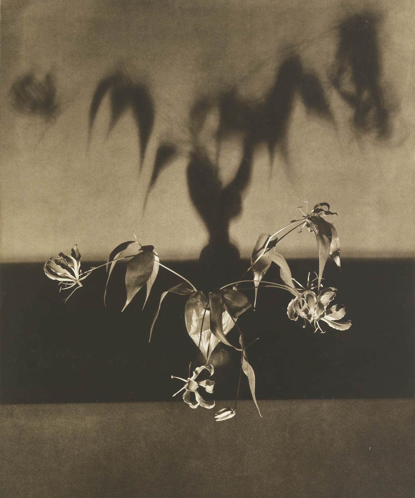 Robert Mapplethorpe