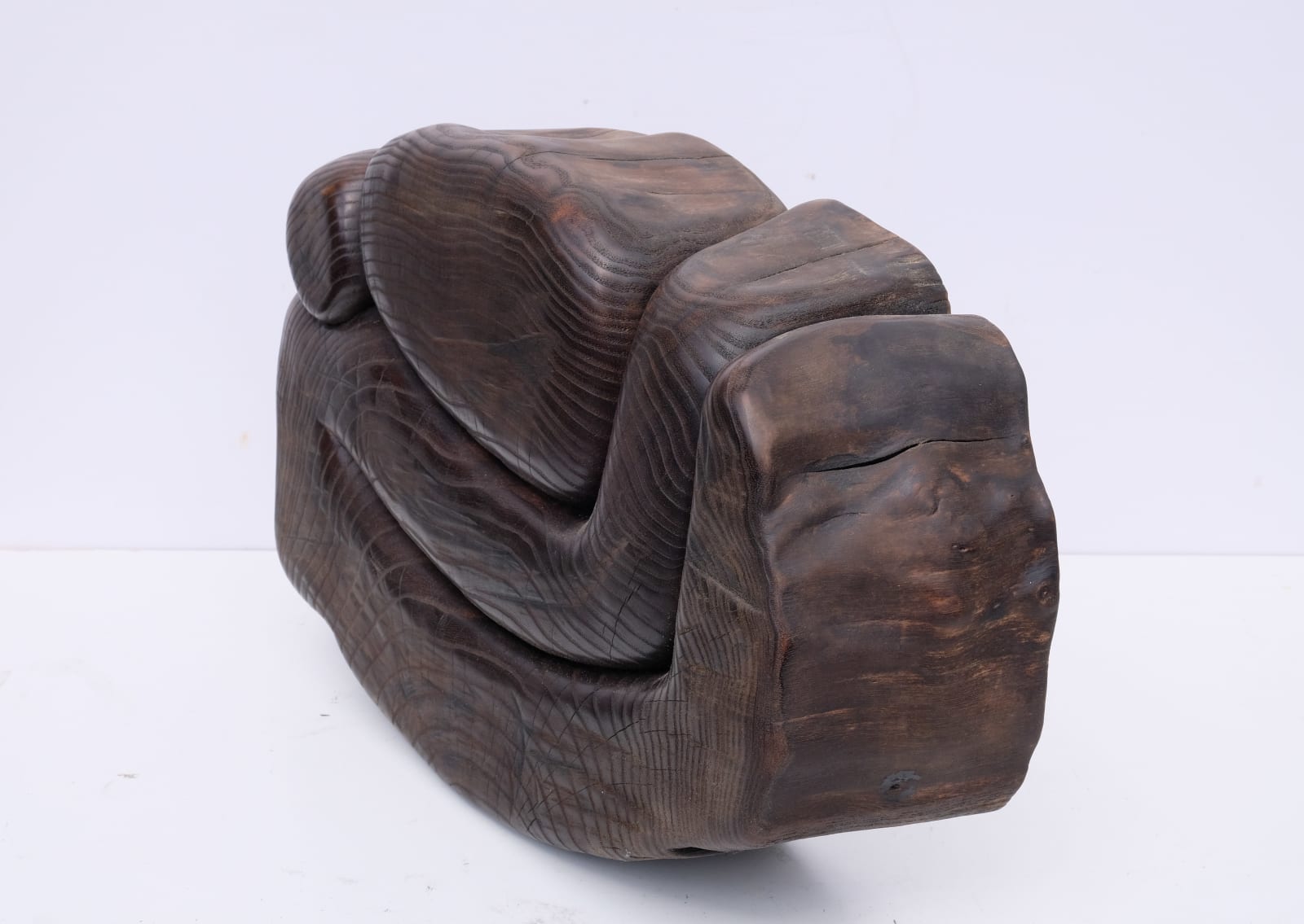 Wang Keping, Untitled (2 - WK21), 2006