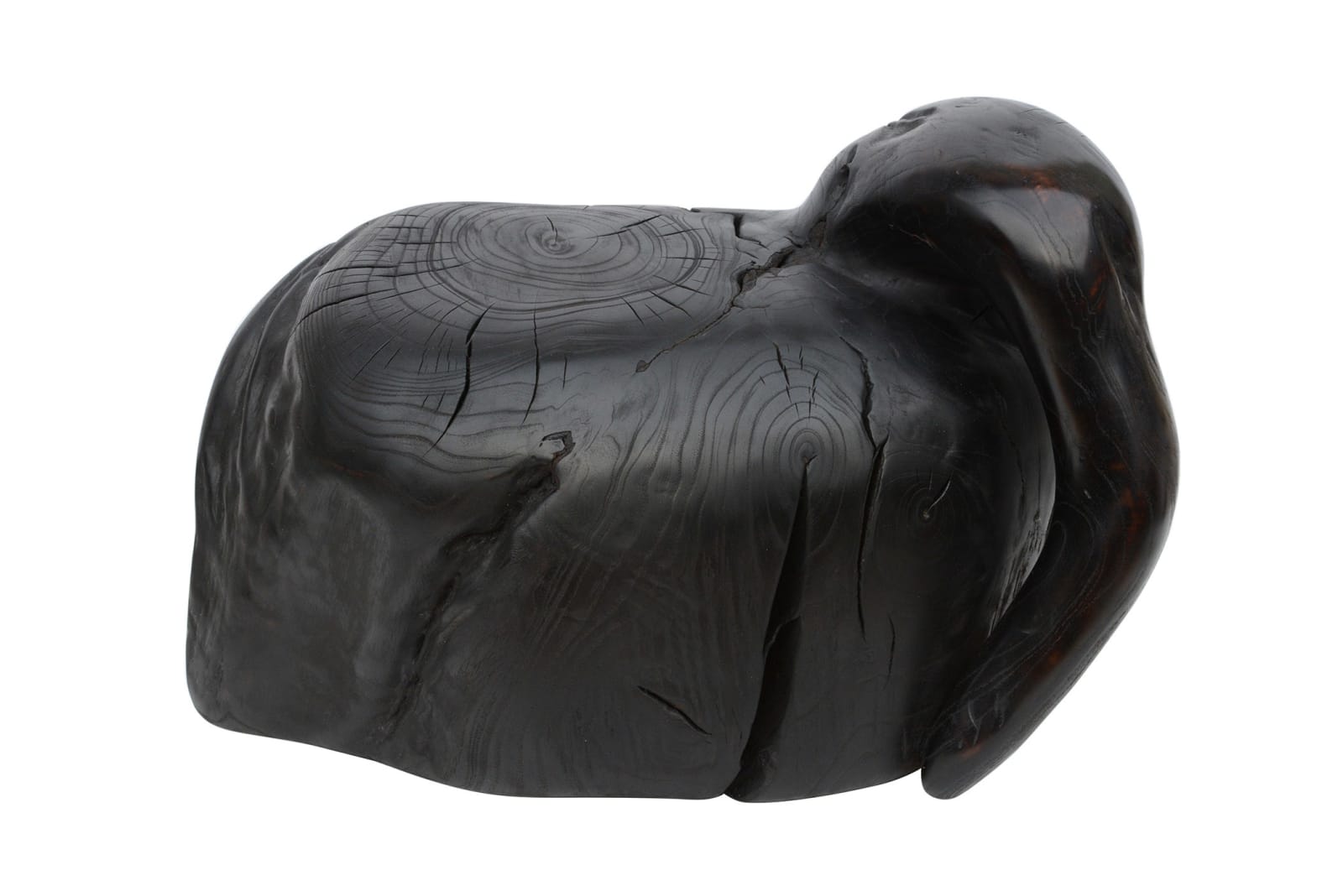 Wang Keping, Bird (No.7-17), 2010