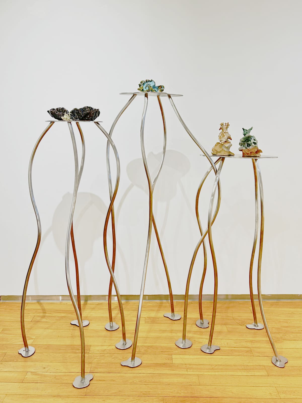 Zoë Marden, Installation, 2023