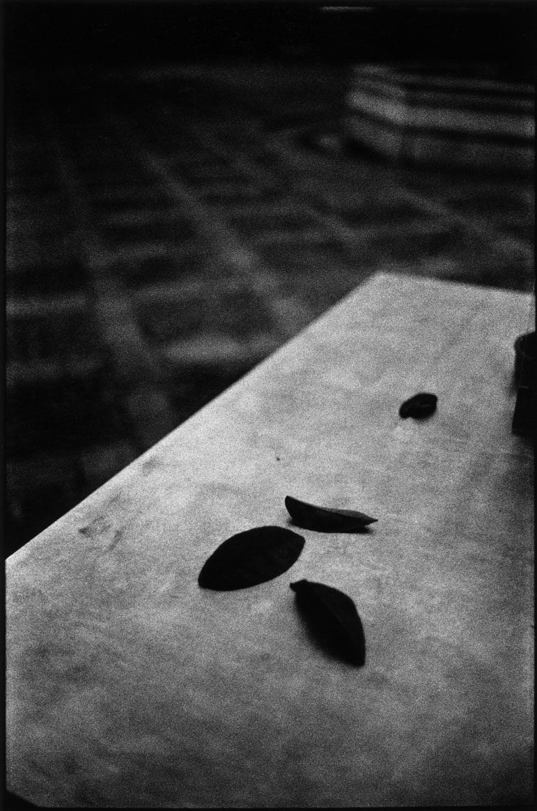 Serge Clément, Seuil, 1997