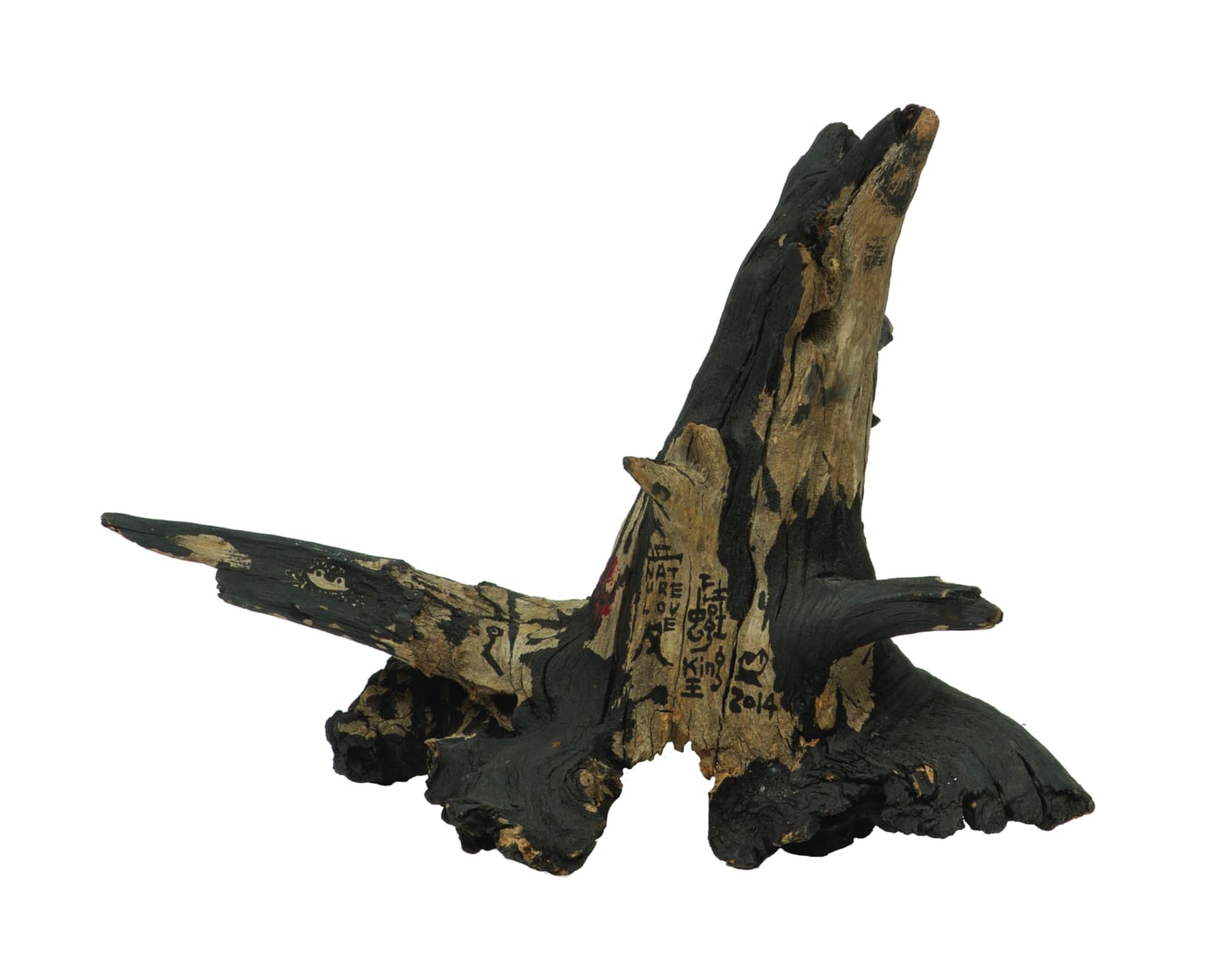 Frog King, Action!, 2014