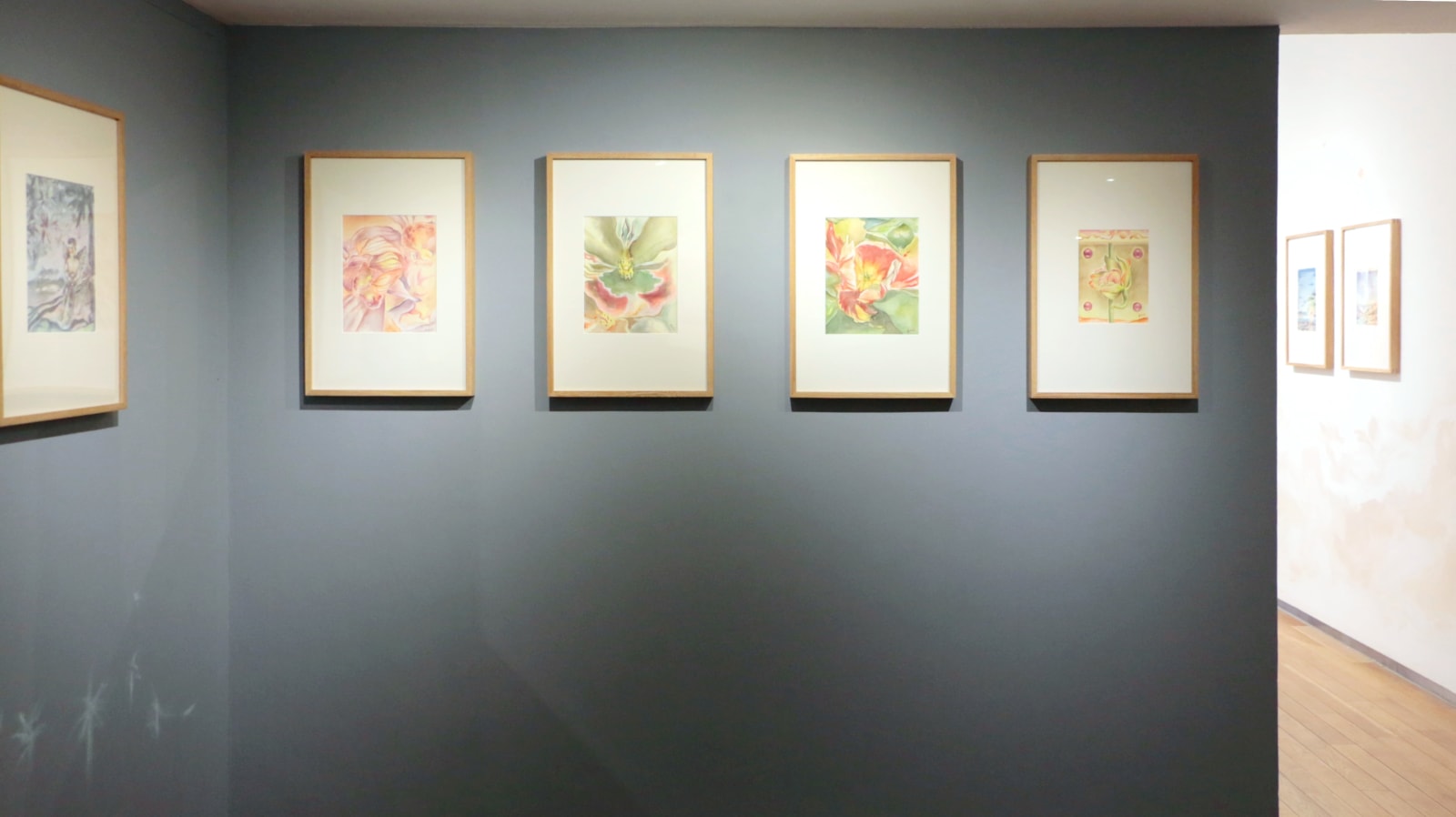 fuchsia, Bloom 6, 2023