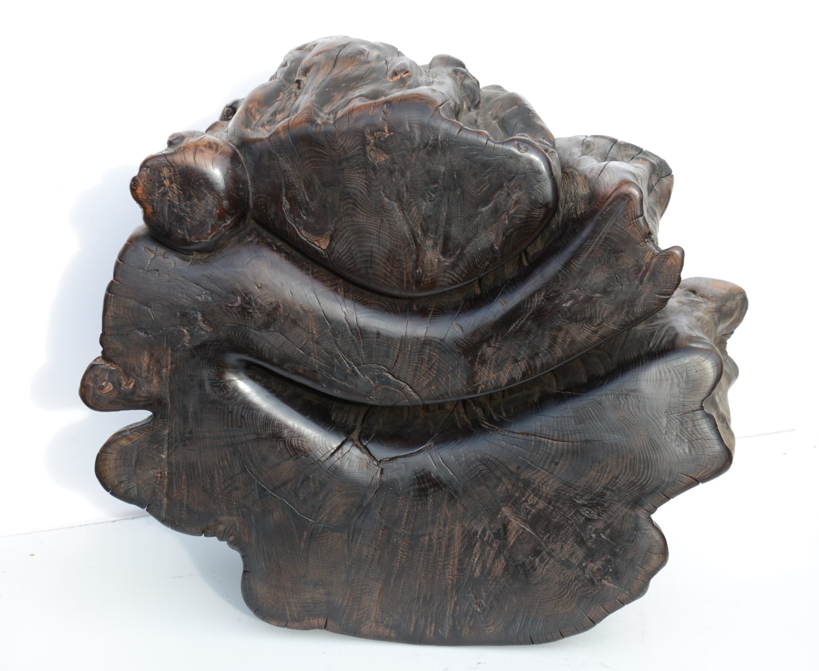 Wang Keping, Untitled (团团 tuan tuan), 2016
