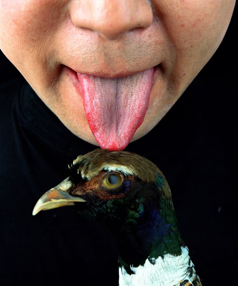 Cang Xin, Communication Series 2-Bird, 1999